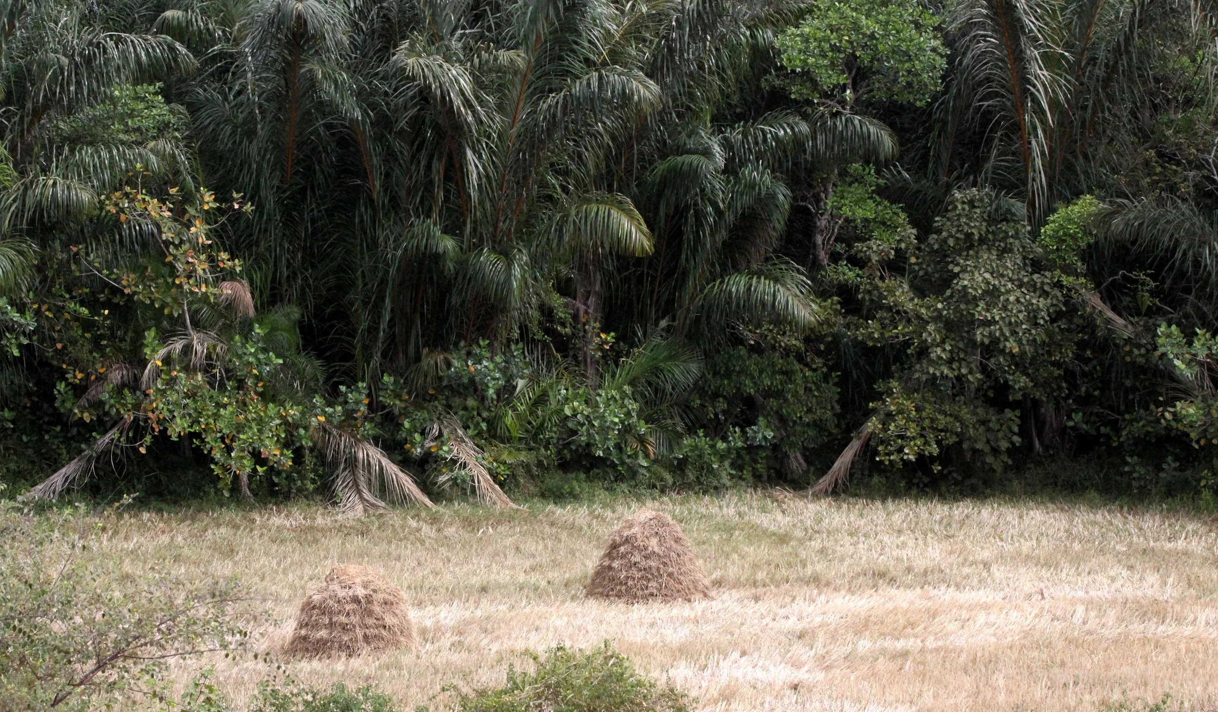 ANKARANA NATIONAL PARK MADAGASCAR - SCENES NEAR THE RESERVE (4).JPG