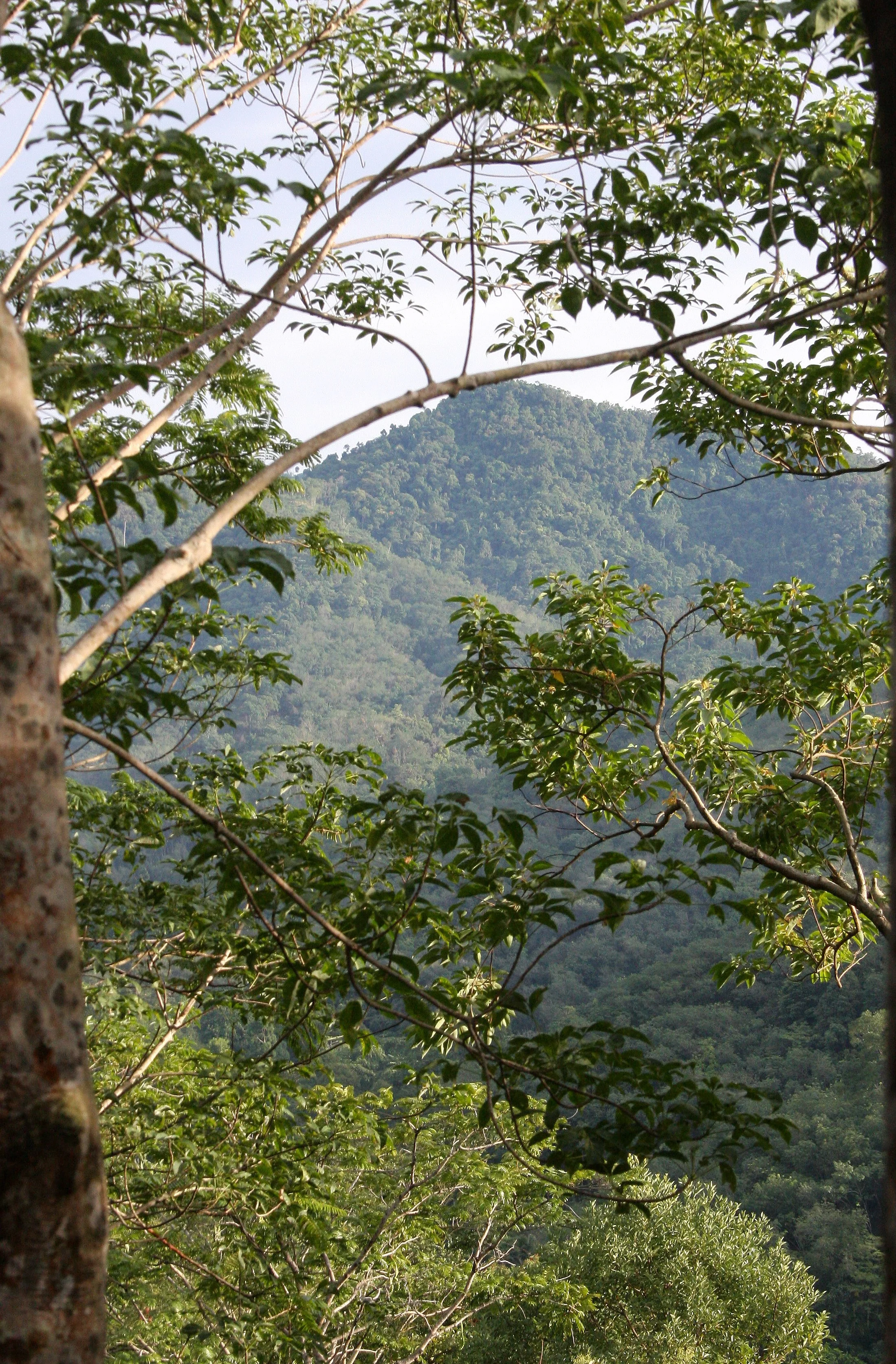 2008 Promluk Property Pics (1).JPG