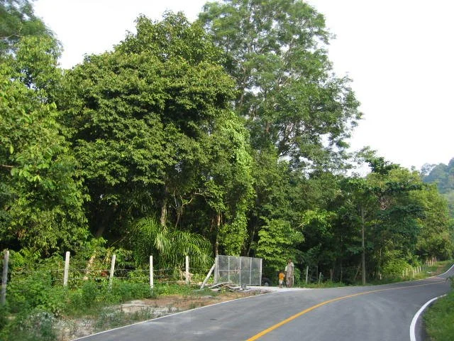 KOH LANTA - PROPERTY - 2005 (104).jpg