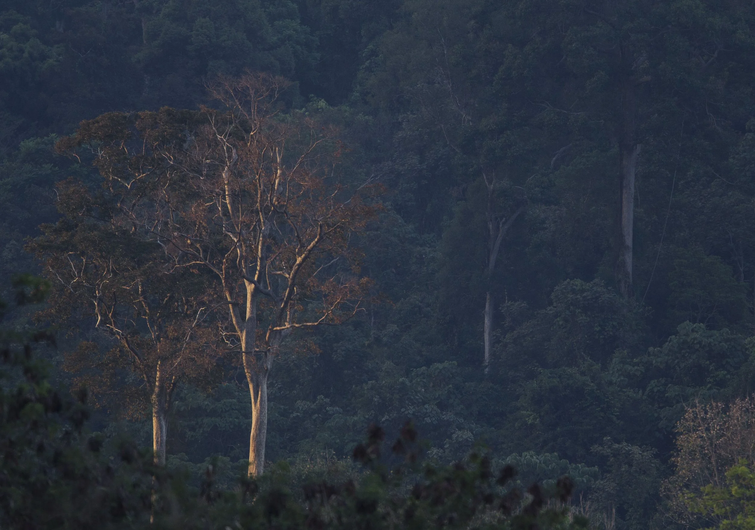 KHAO PHANG MAH - PRACHINBURI THAILAND_48.jpg