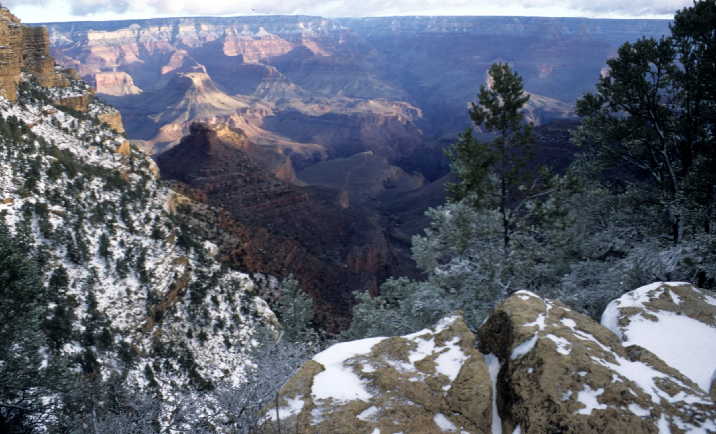 ARIZONA - GRAND CANYON NATIONAL PK (13).jpg