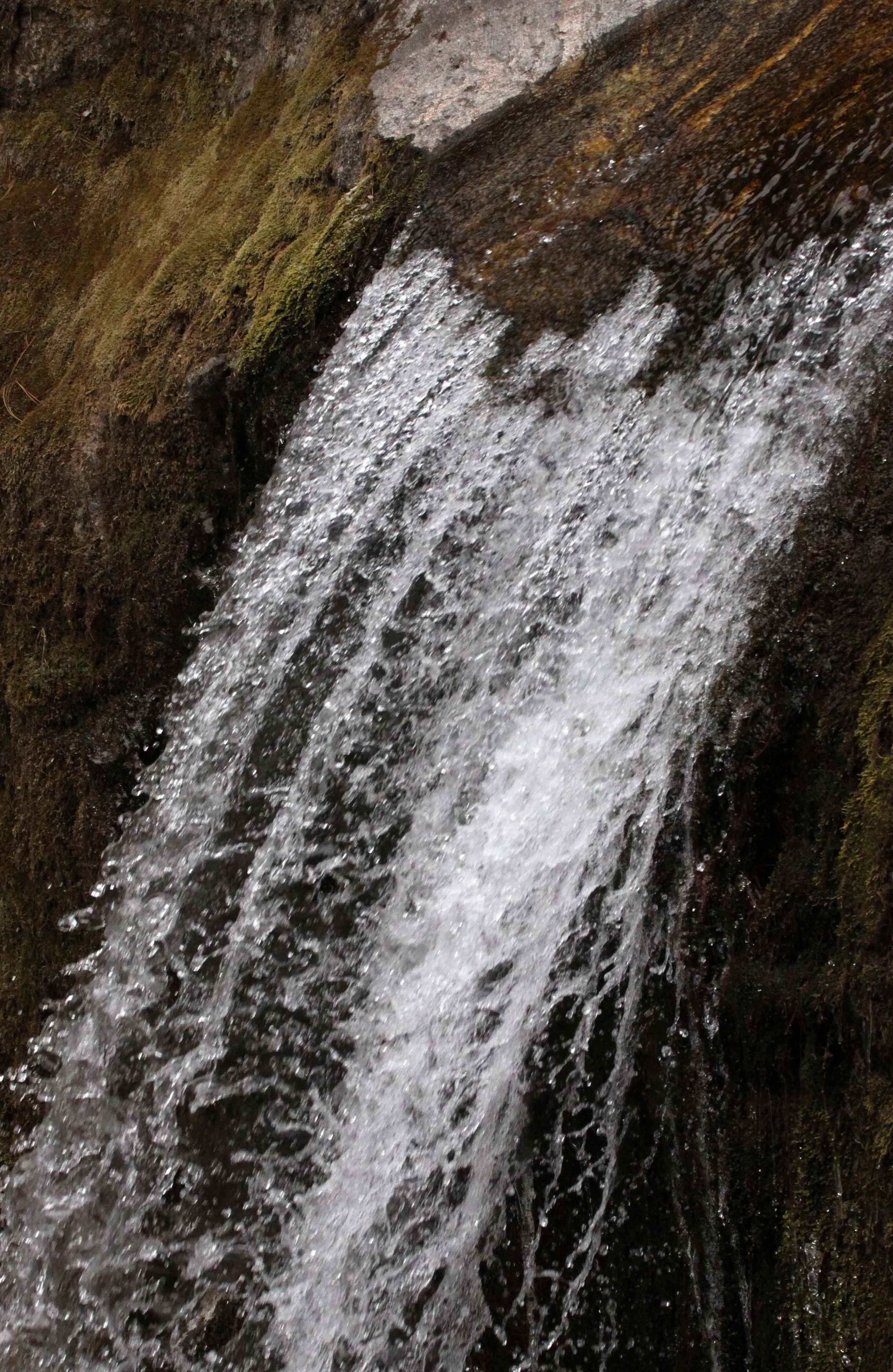 FOPING NATURE RESERVE - SHAANXI PROVINCE CHINA (118).JPG
