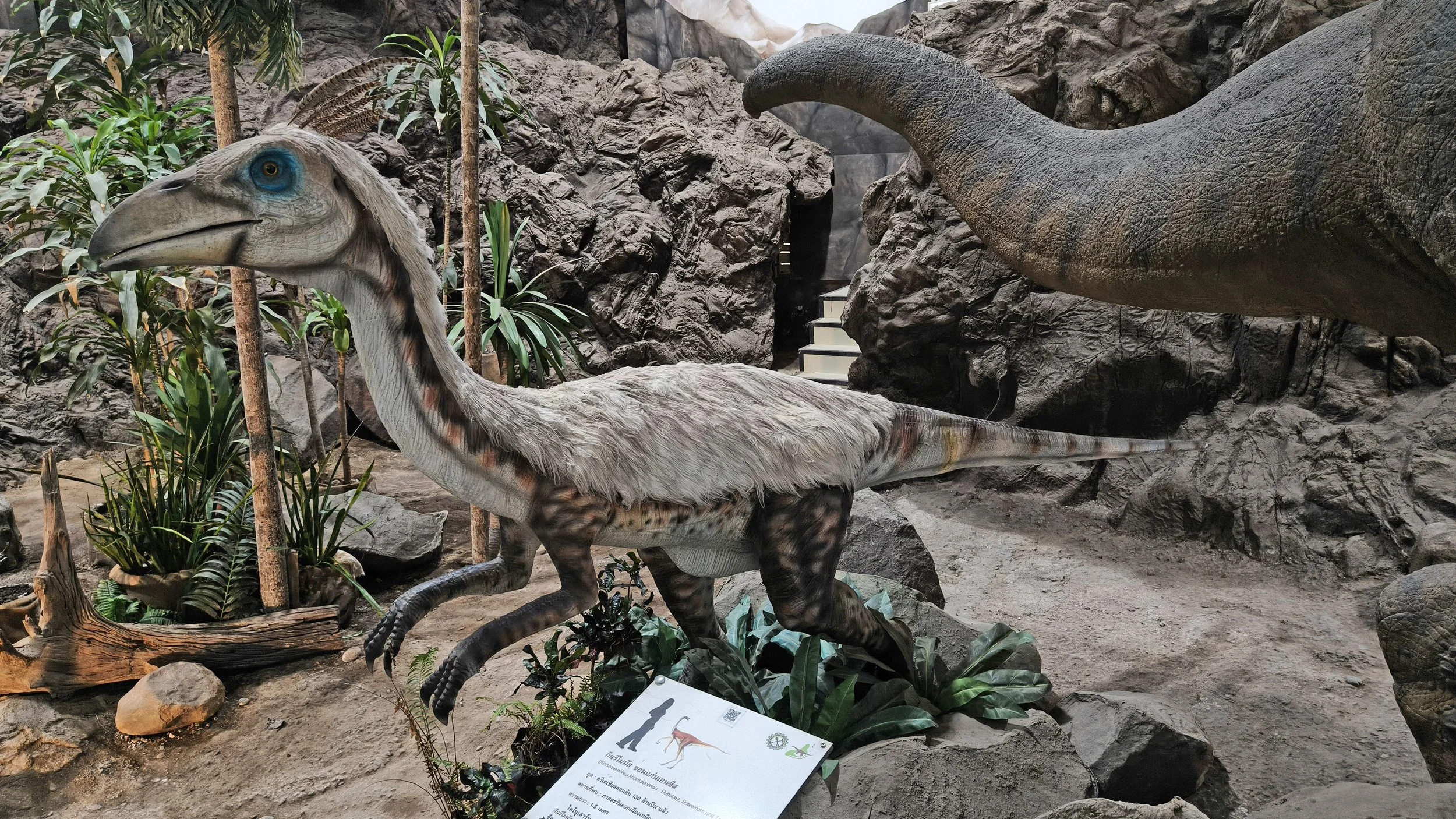 Phu Wiang Dinosaur Museum Khon Kaen Province (26).jpg