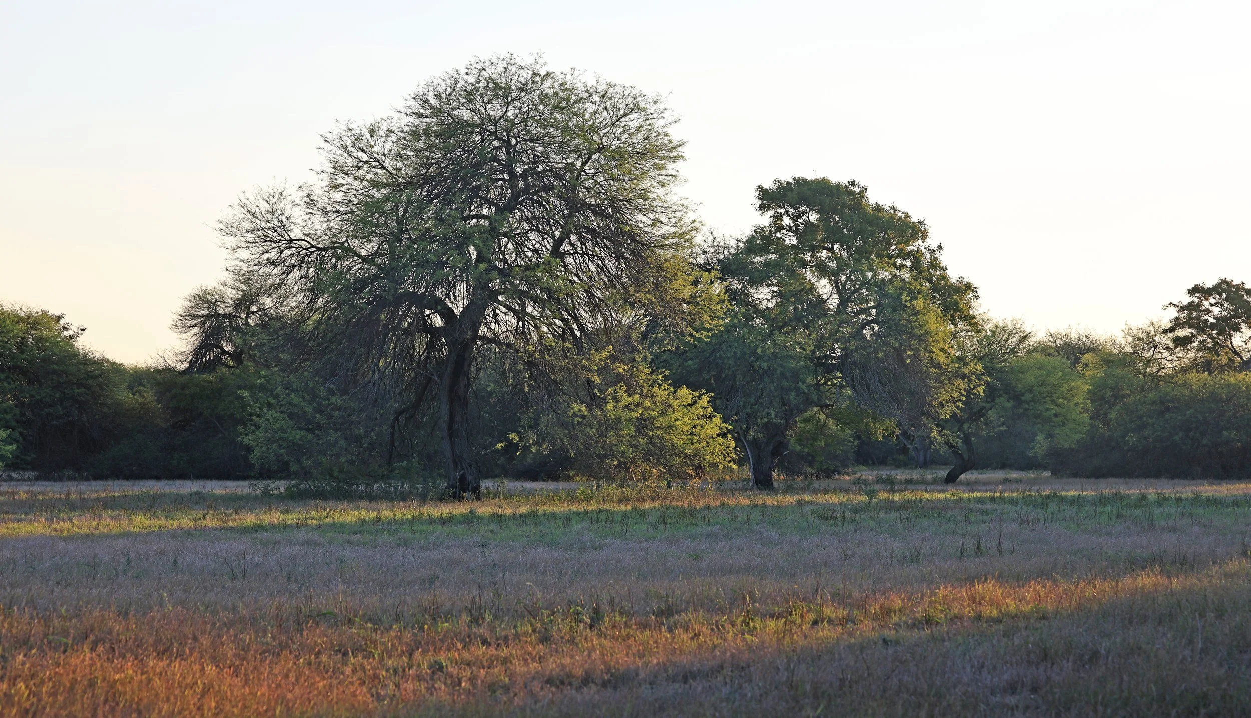 Reserva Nueland  Selva Serena (26).jpg