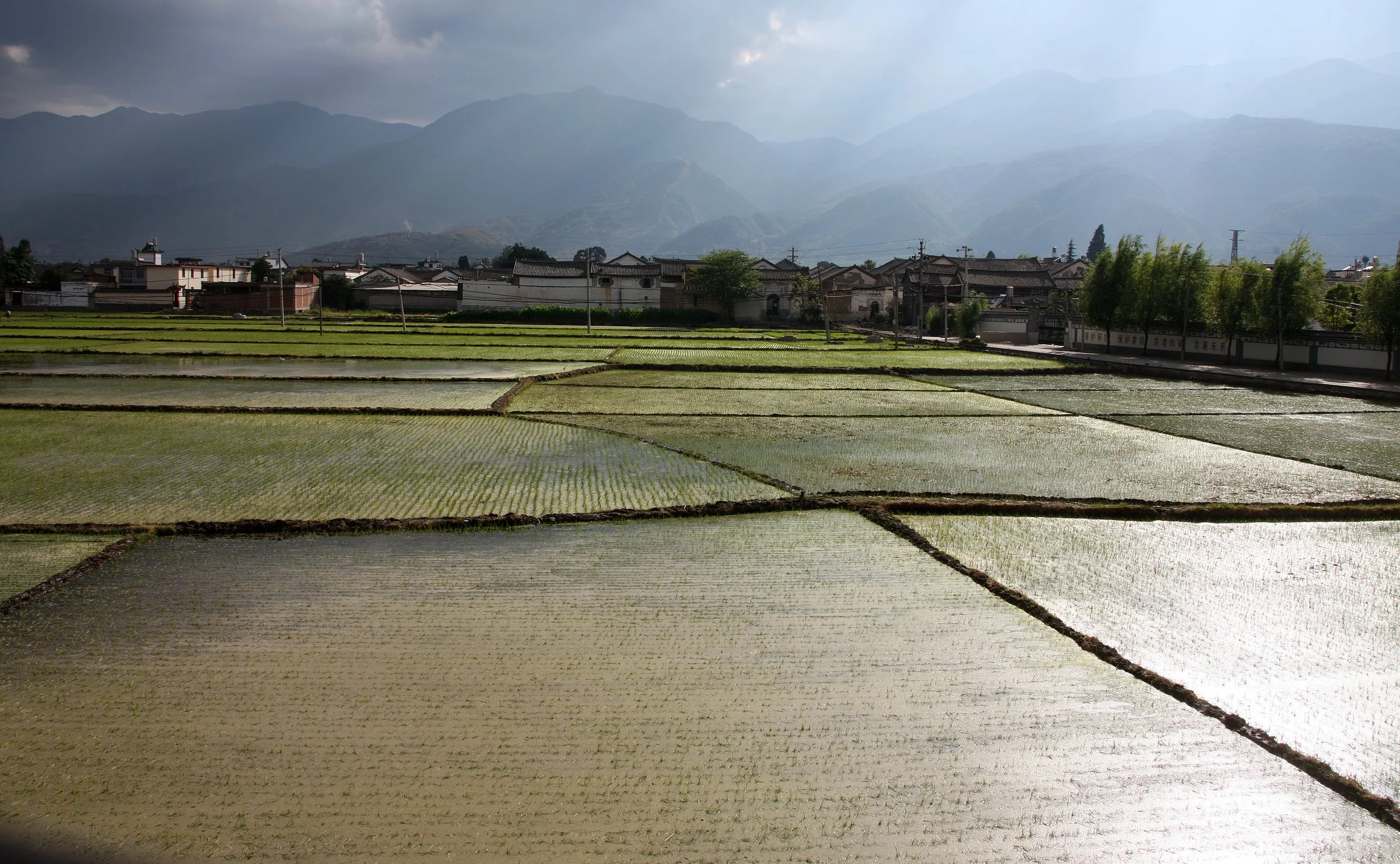 LINDEN CENTER - XIZHOU VILLAGE YUNNAN CHINA (322).JPG