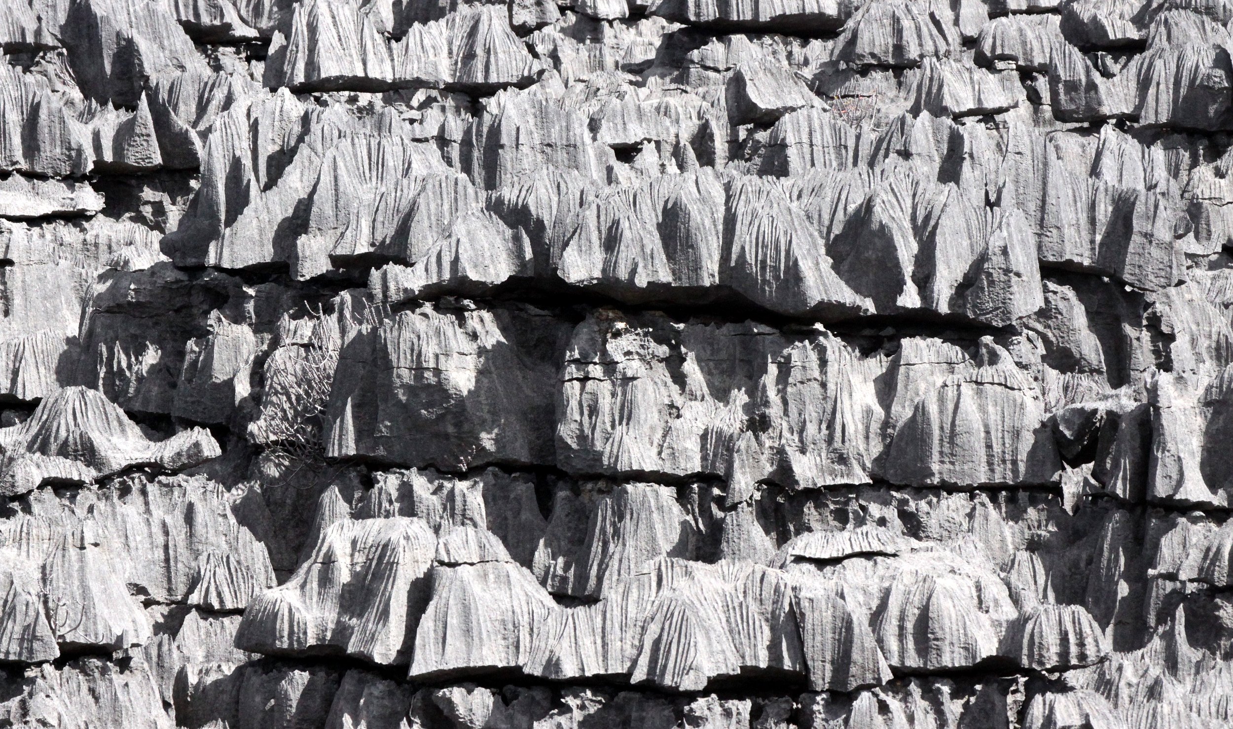 ANKARANA NATIONAL PARK MADAGASCAR - TSINGY FOREST (46).JPG