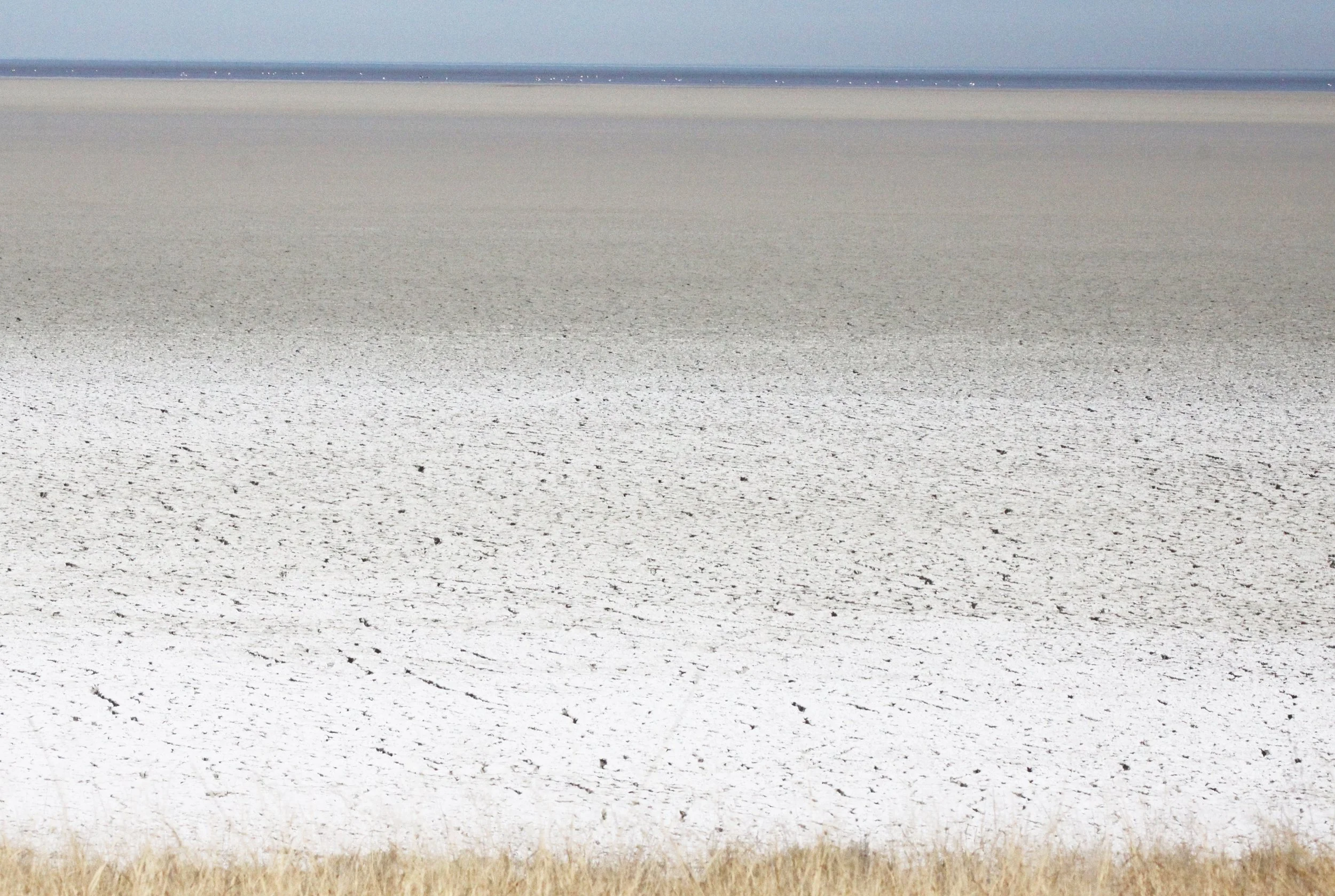 ETOSHA NATIONAL PARK NAMIBIA - ETOSHA PAN.JPG