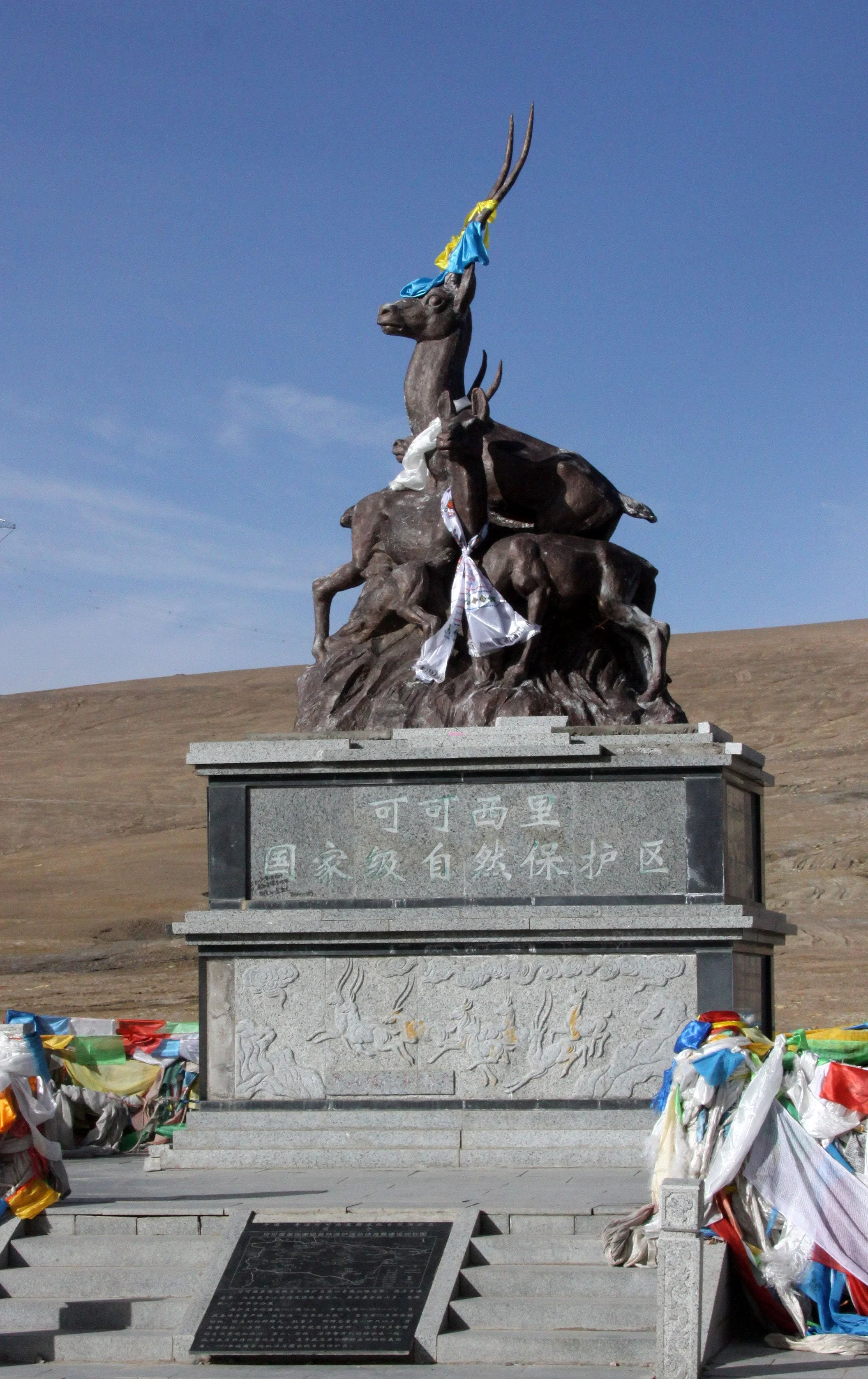 KEKEXILI NATIONAL RESERVE - QINGHAI CHINA (8).JPG
