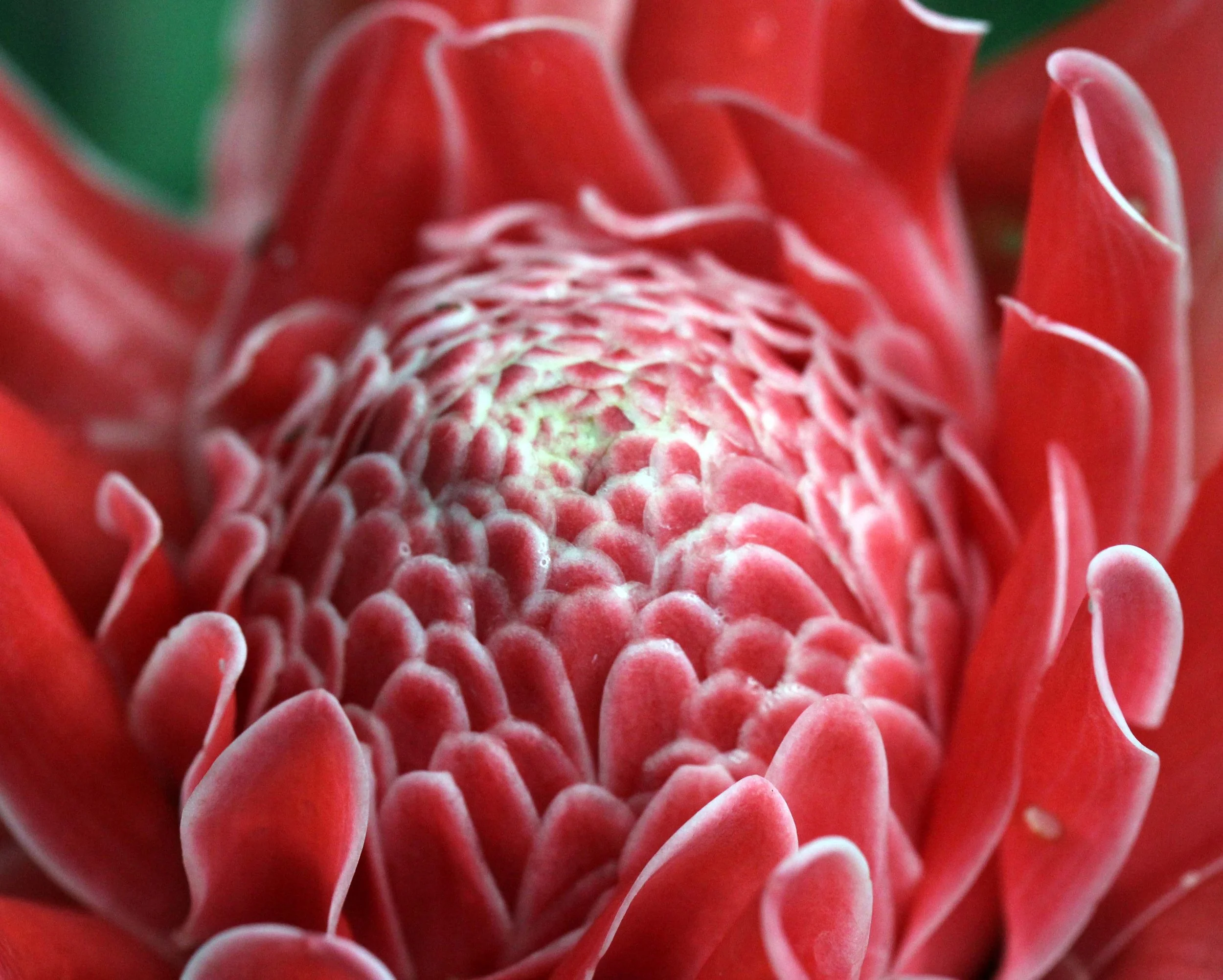 2013 in Nakhonsithammarat and some Krabi with Family (39).JPG