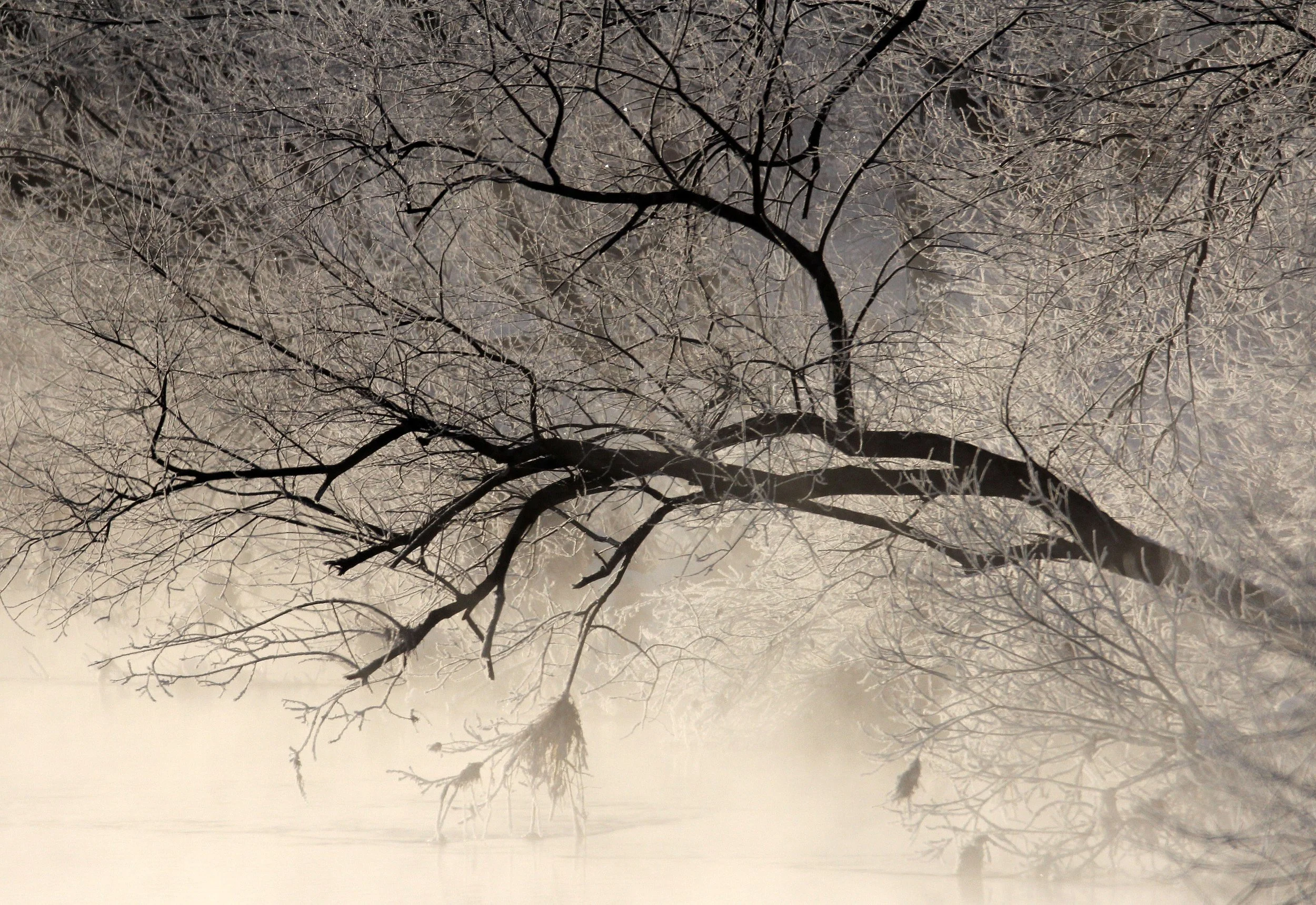 OTOWABASHI - TSURUI TOWN - HOKKAIDO JAPAN.JPG