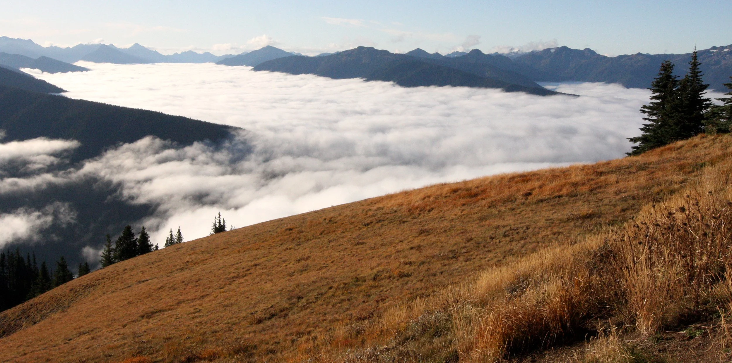 HURRICANE RIDGE - VIEWS OF CLOUDS RESEMBLING GLACIERS (7).JPG