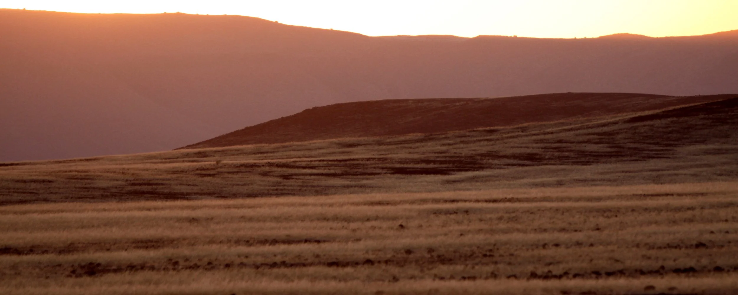 NAMIBIA - SKELETON COAST NATIONAL PARK - EAST ENTRANCE (12).JPG