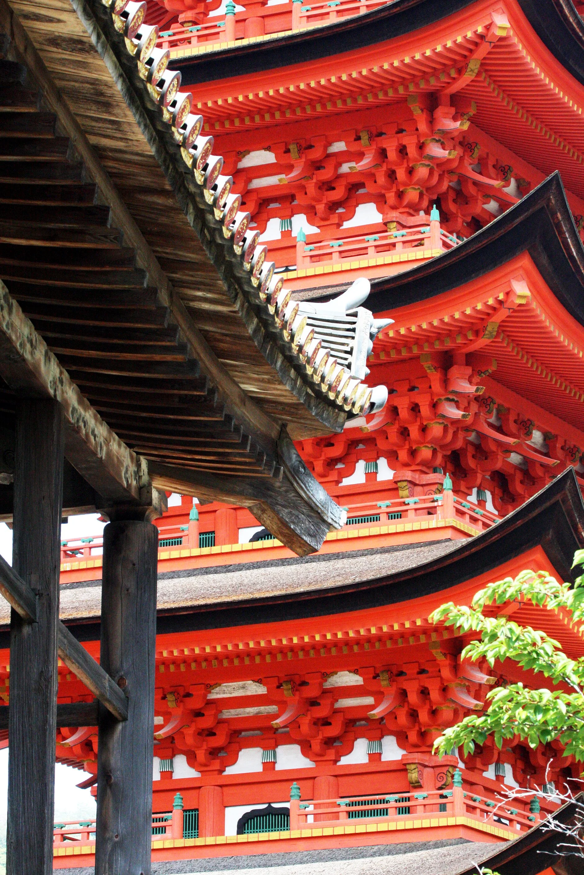 MIYAJIMA - MAY 2009 - SCENES AND LANDSCAPES (65).JPG