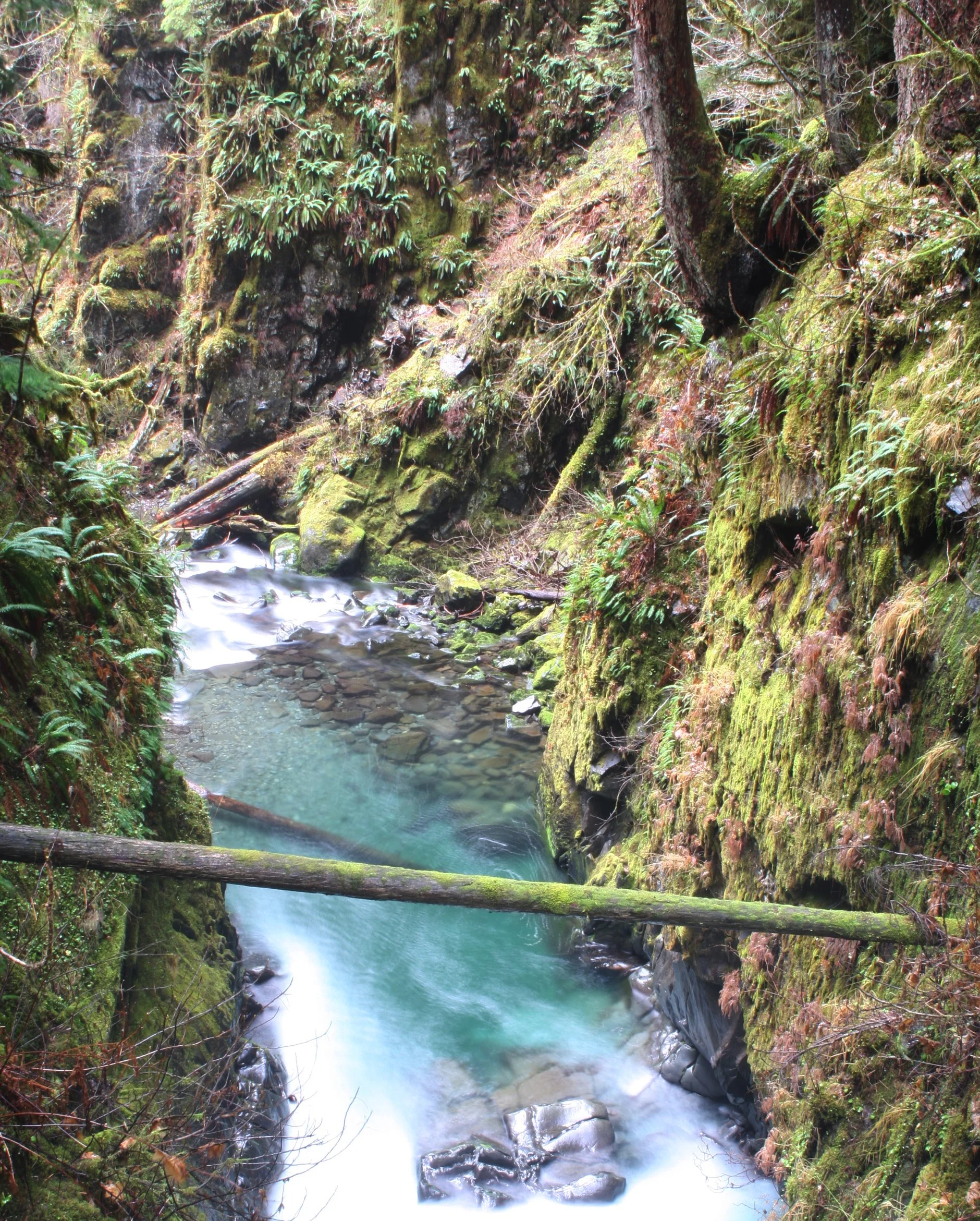SOL DUC FALLS AND FOREST - ONP WA (65).JPG