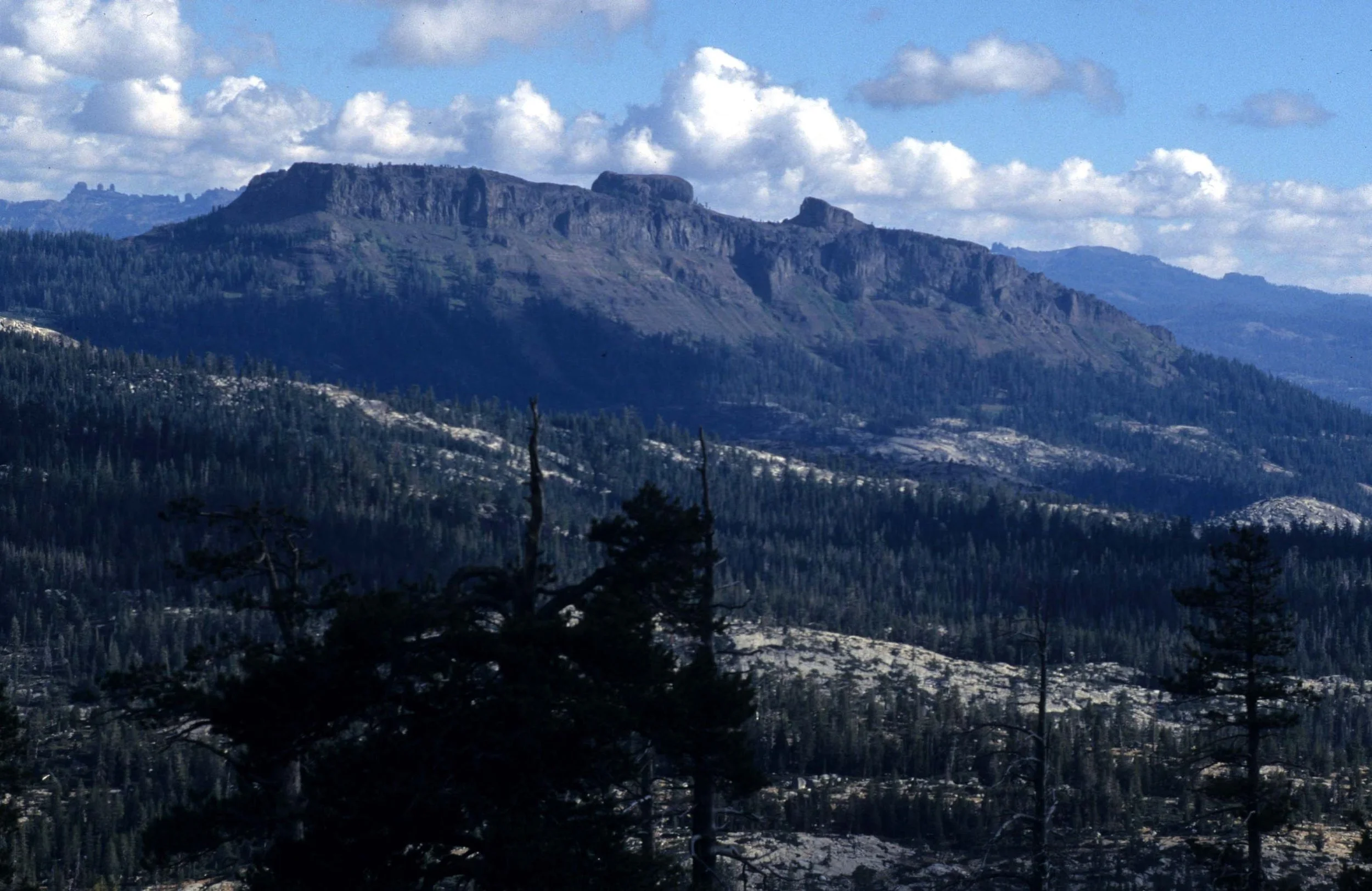 CALIFORNIA - SIERRA NEVADA MOUNTAINS (7).jpg