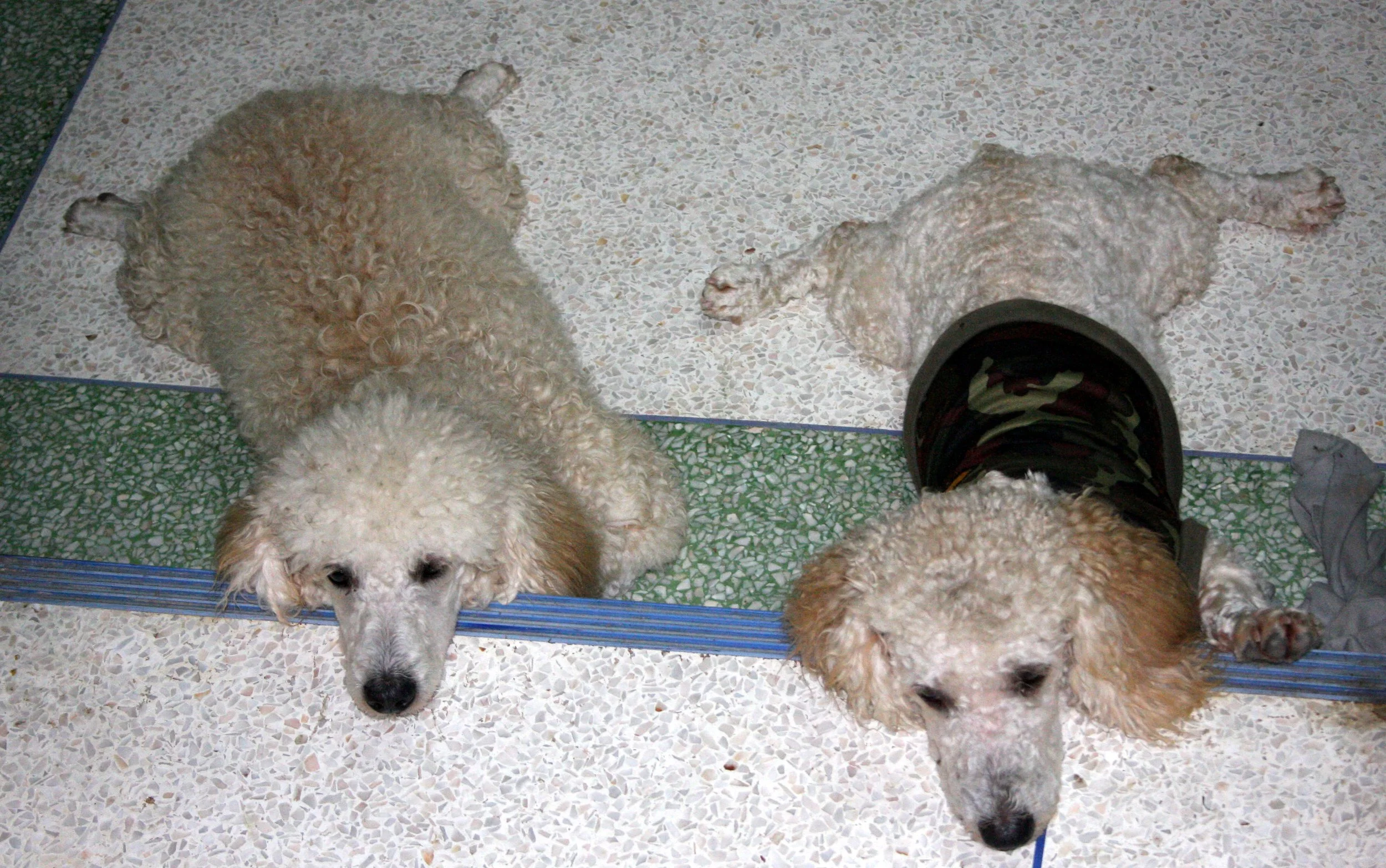 2008 Nakhonsithammarat Summer Trip (42).JPG