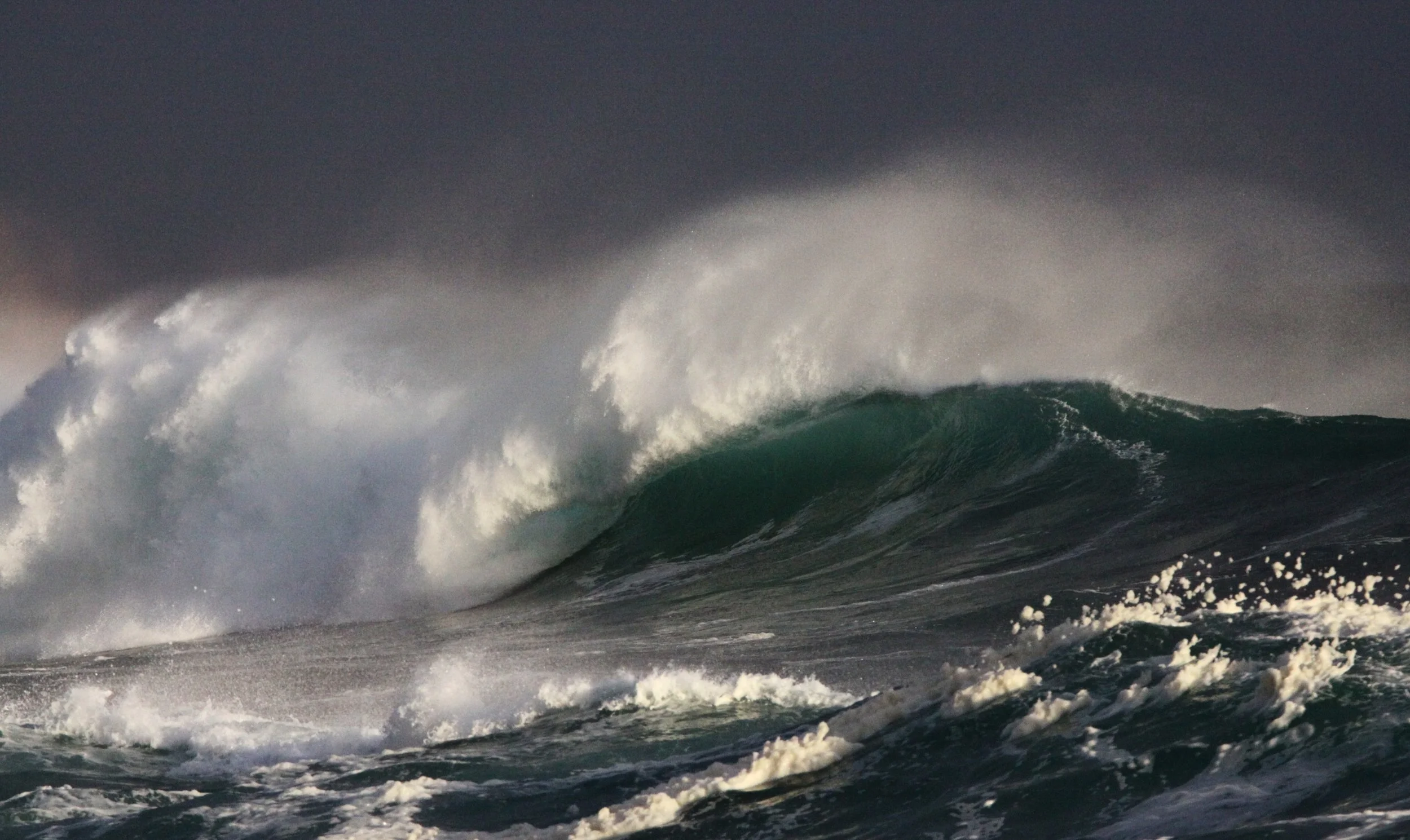 WEST COAST NATIONAL PARK SOUTH AFRICA - SURF'S UP! (3).JPG