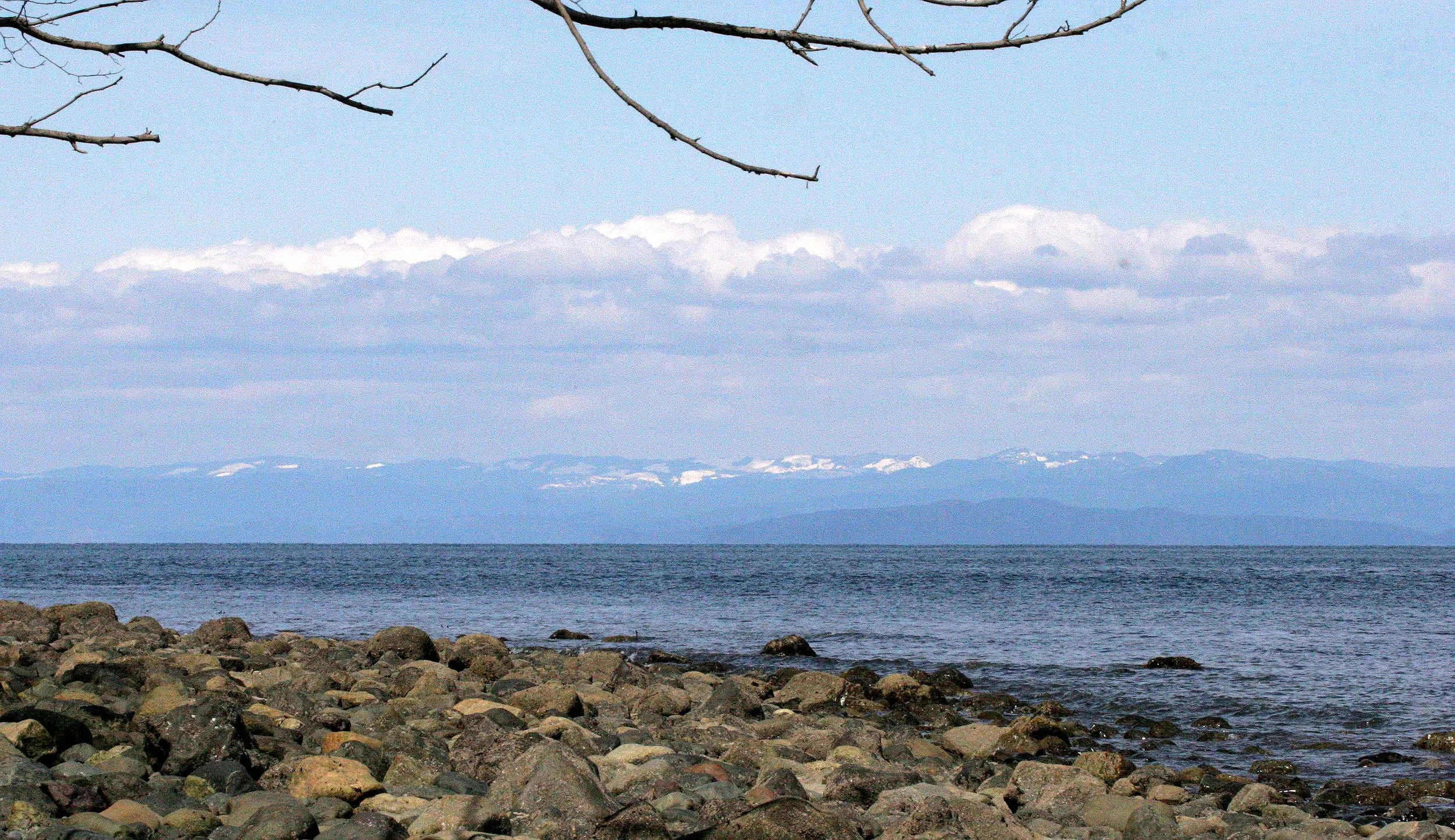 2008-4-20 LAKE FARM BEACH WA.JPG