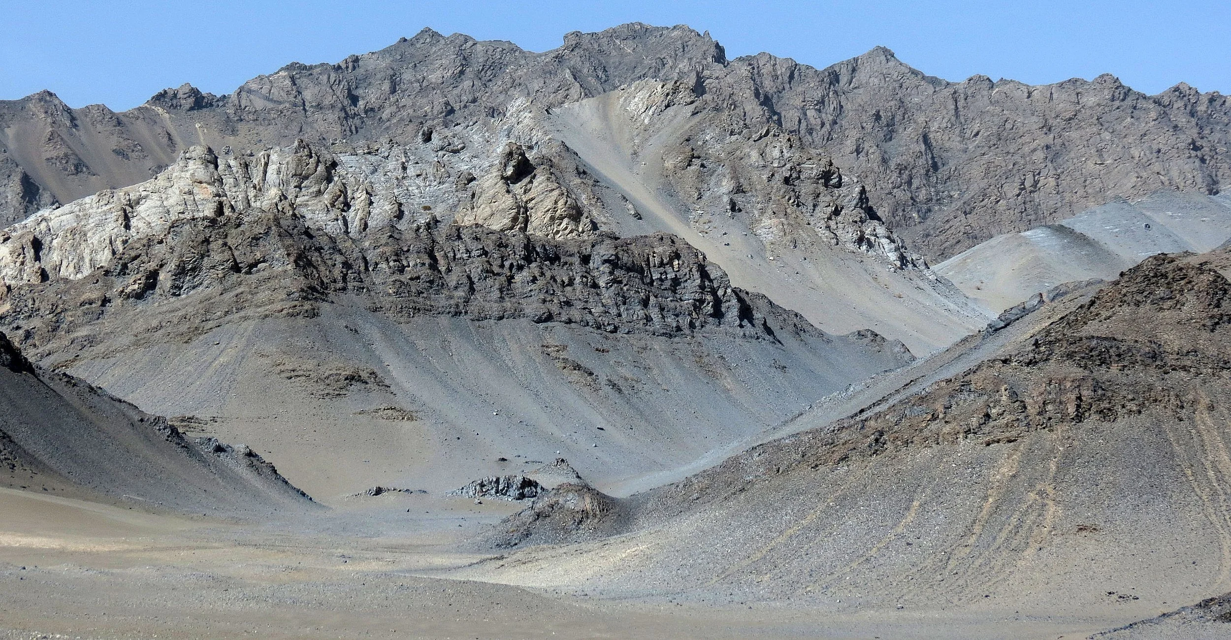 LOP NUR WILD BACTRIAN CAMEL RESERVE - XINJIANG CHINA (34).JPG