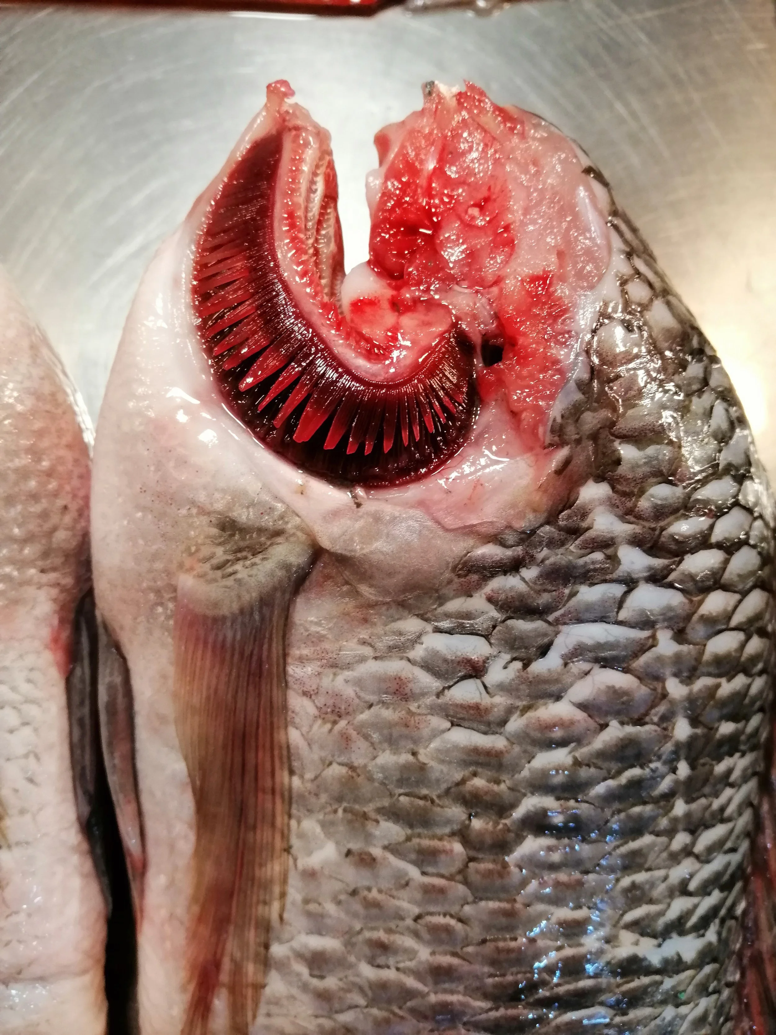 2019 Motorcycle Ride with Cokie to Samut Prakan  (187).jpg