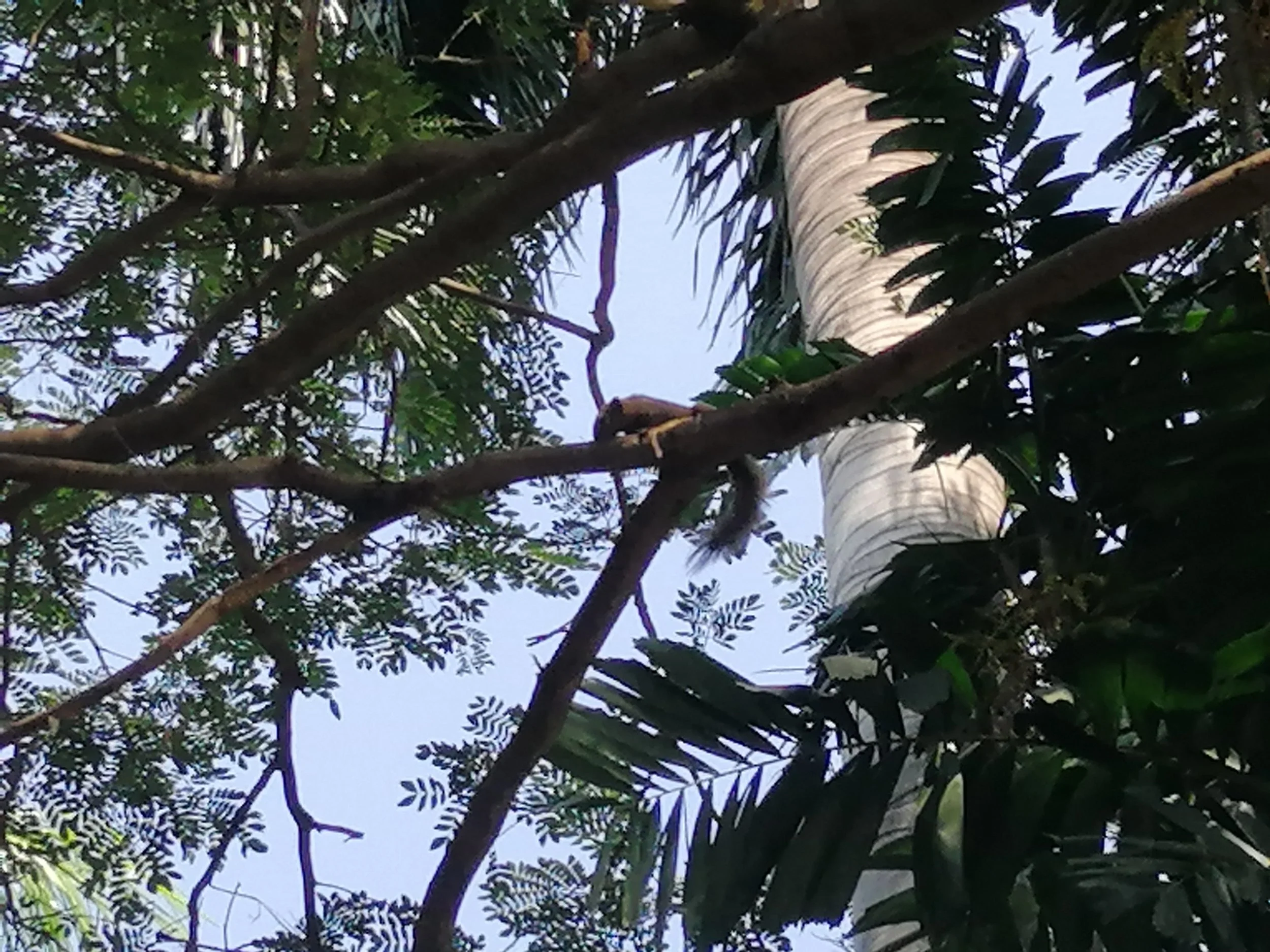 2019 Nakhon Pathom Trip Temples with Cokie (20).jpg