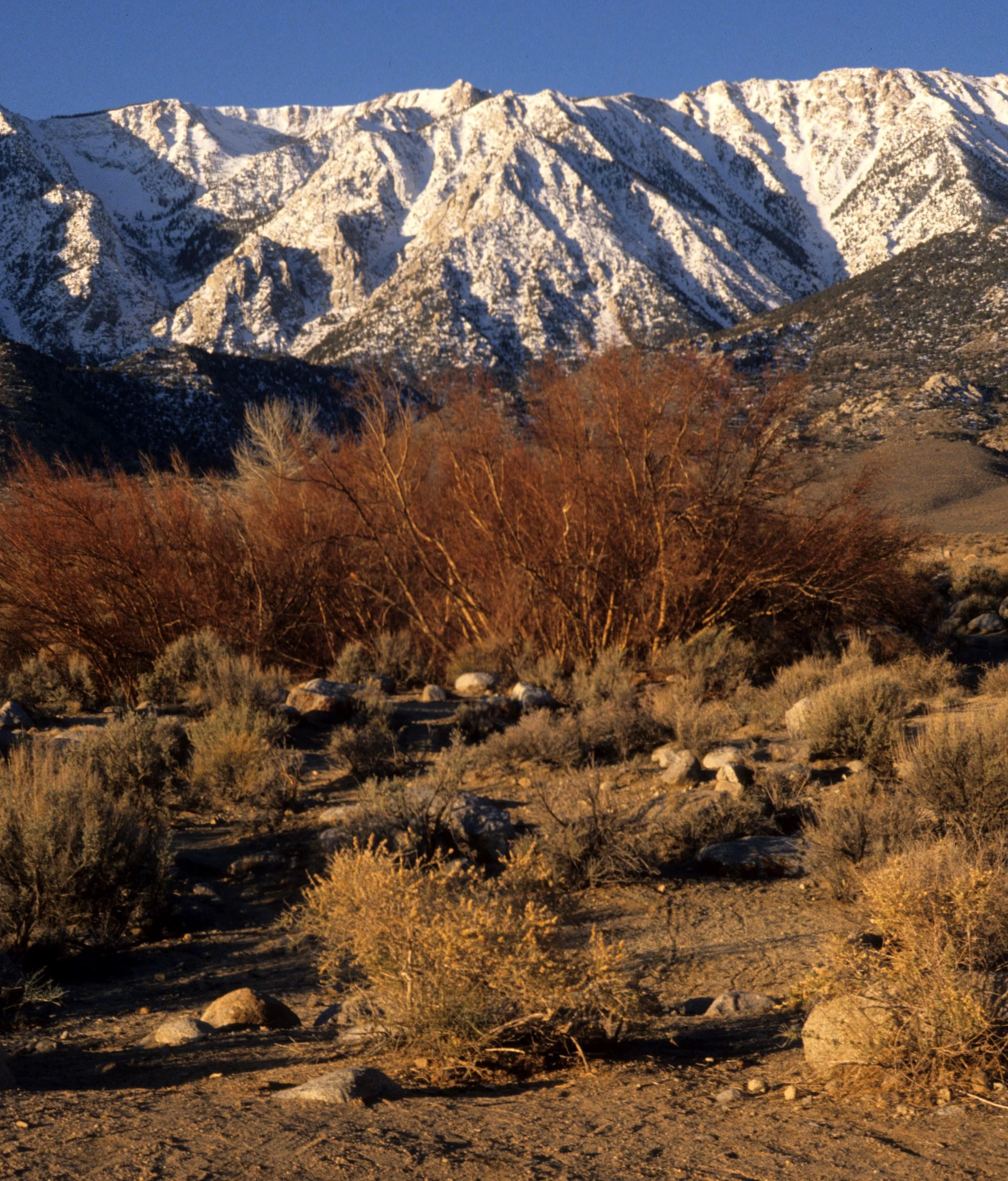 CALIFORNIA - SIERRA NEVADA - EAST SIDE A.jpg