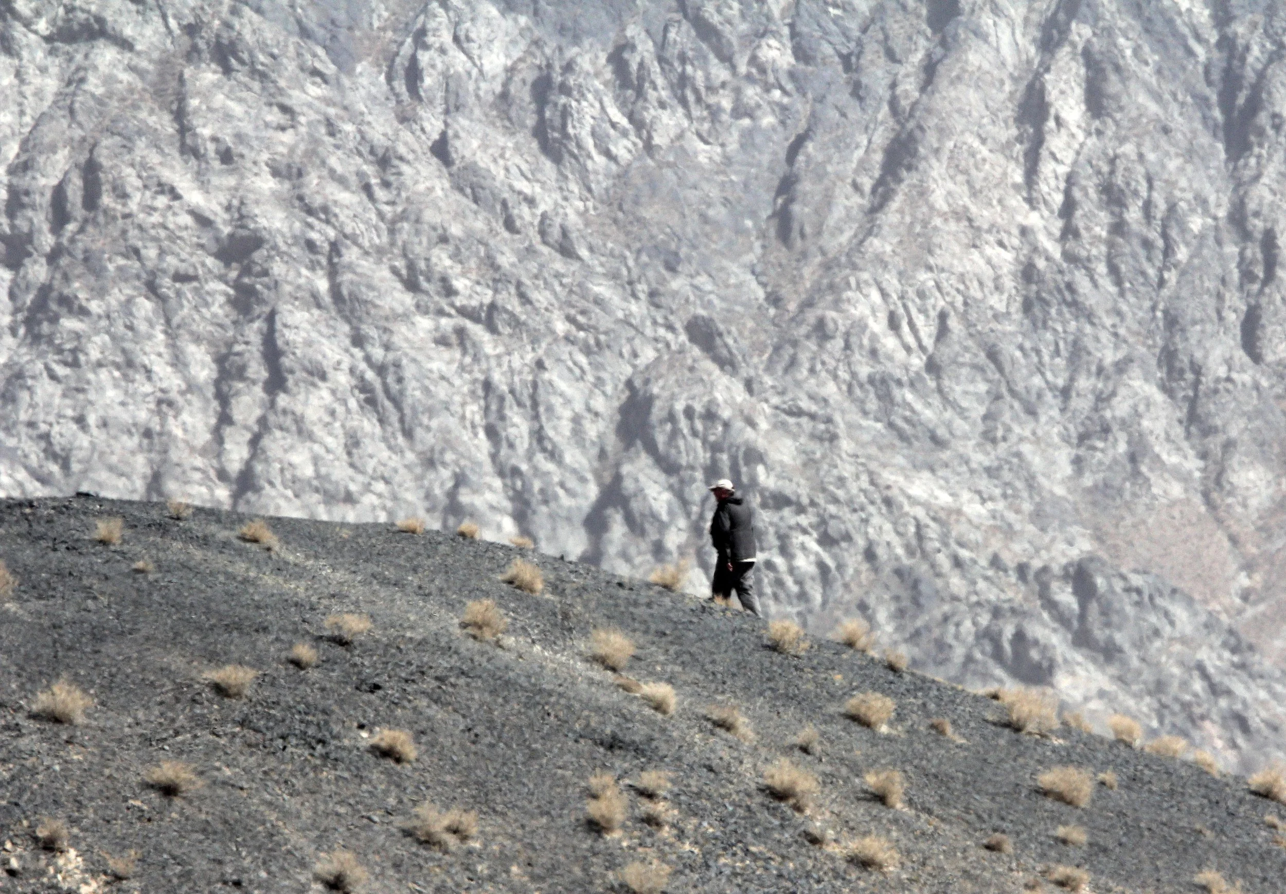 LOP NUR WILD BACTRIAN CAMEL RESERVE - XINJIANG CHINA (152).JPG