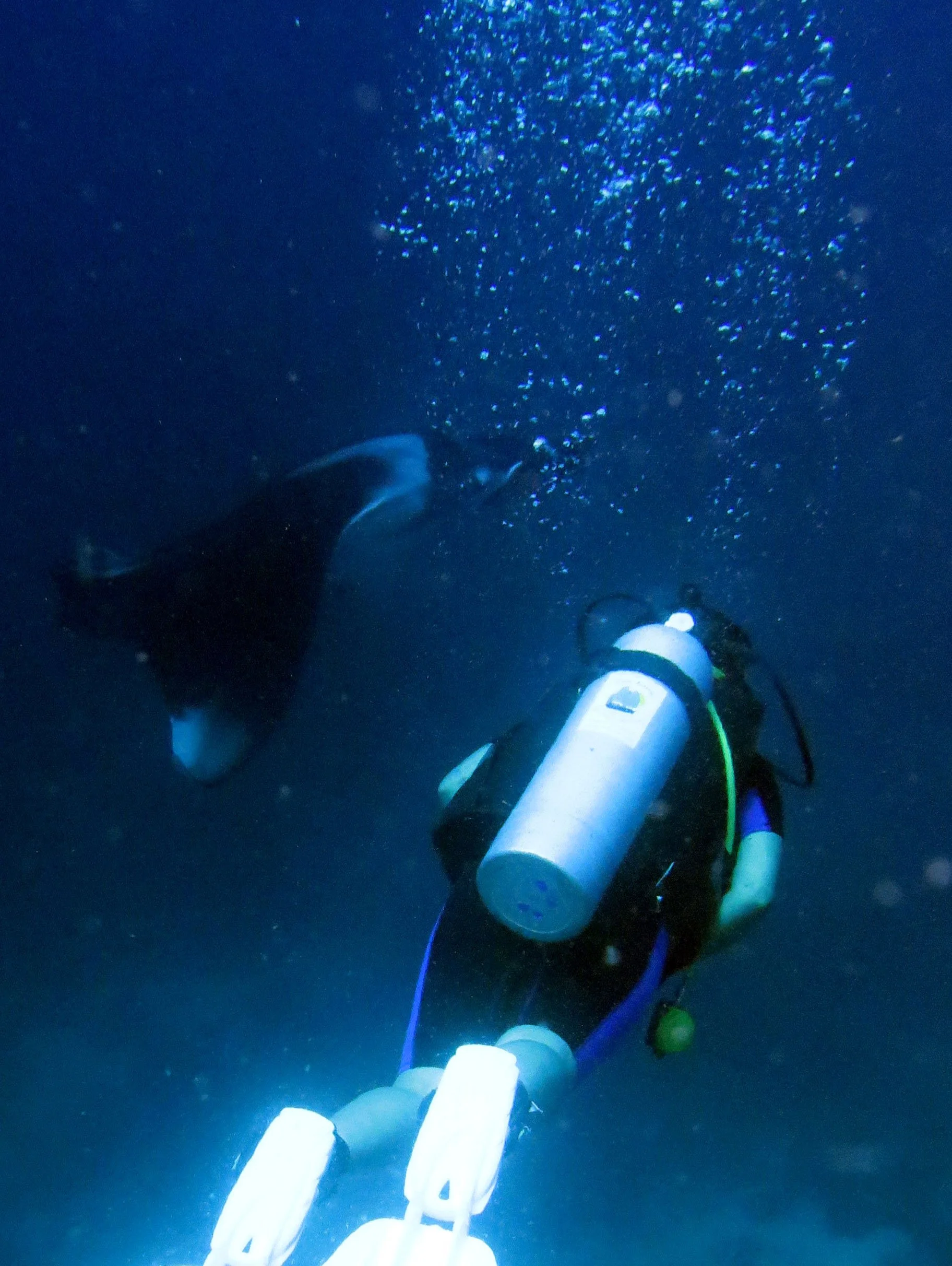 2016 Similans Dive Trip with ISB GCW (7).JPG