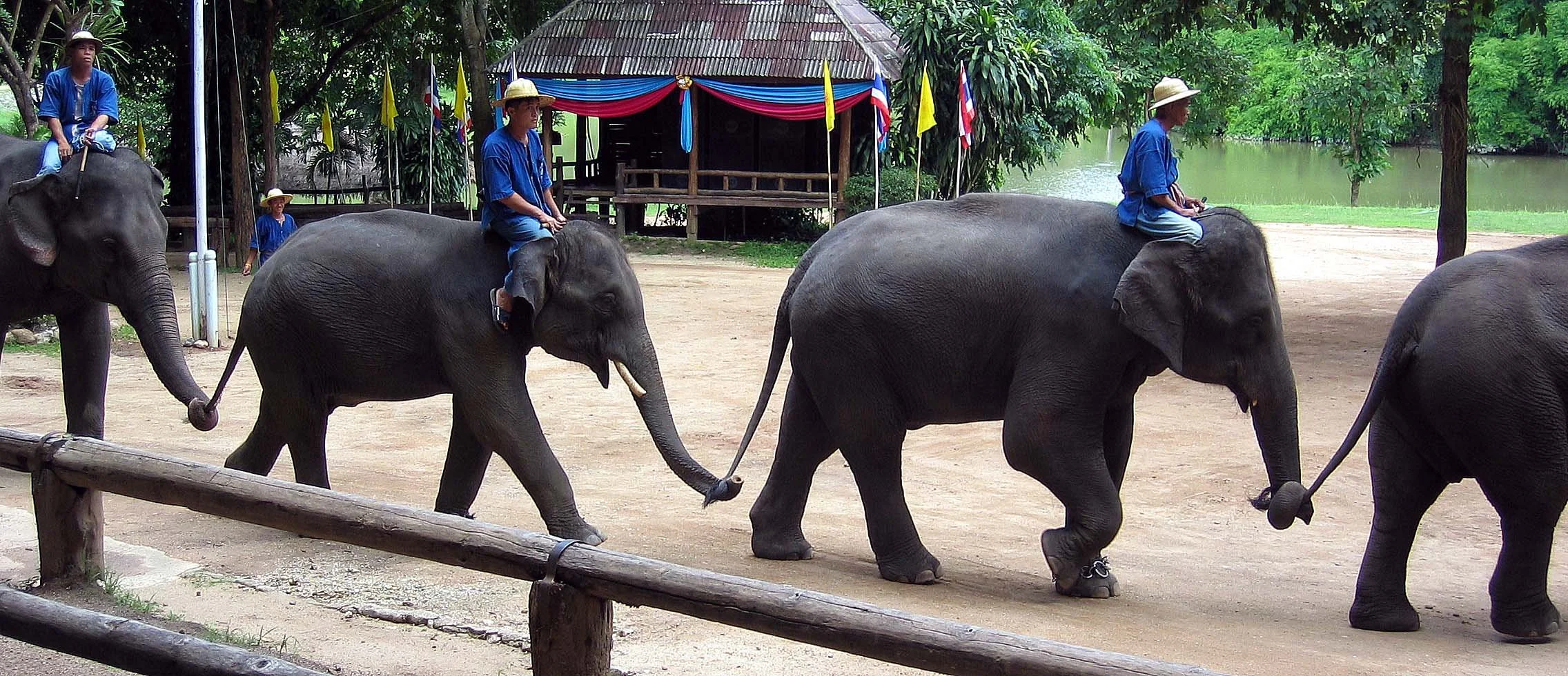 2008 Lampang City & Elephant Center (133).jpg