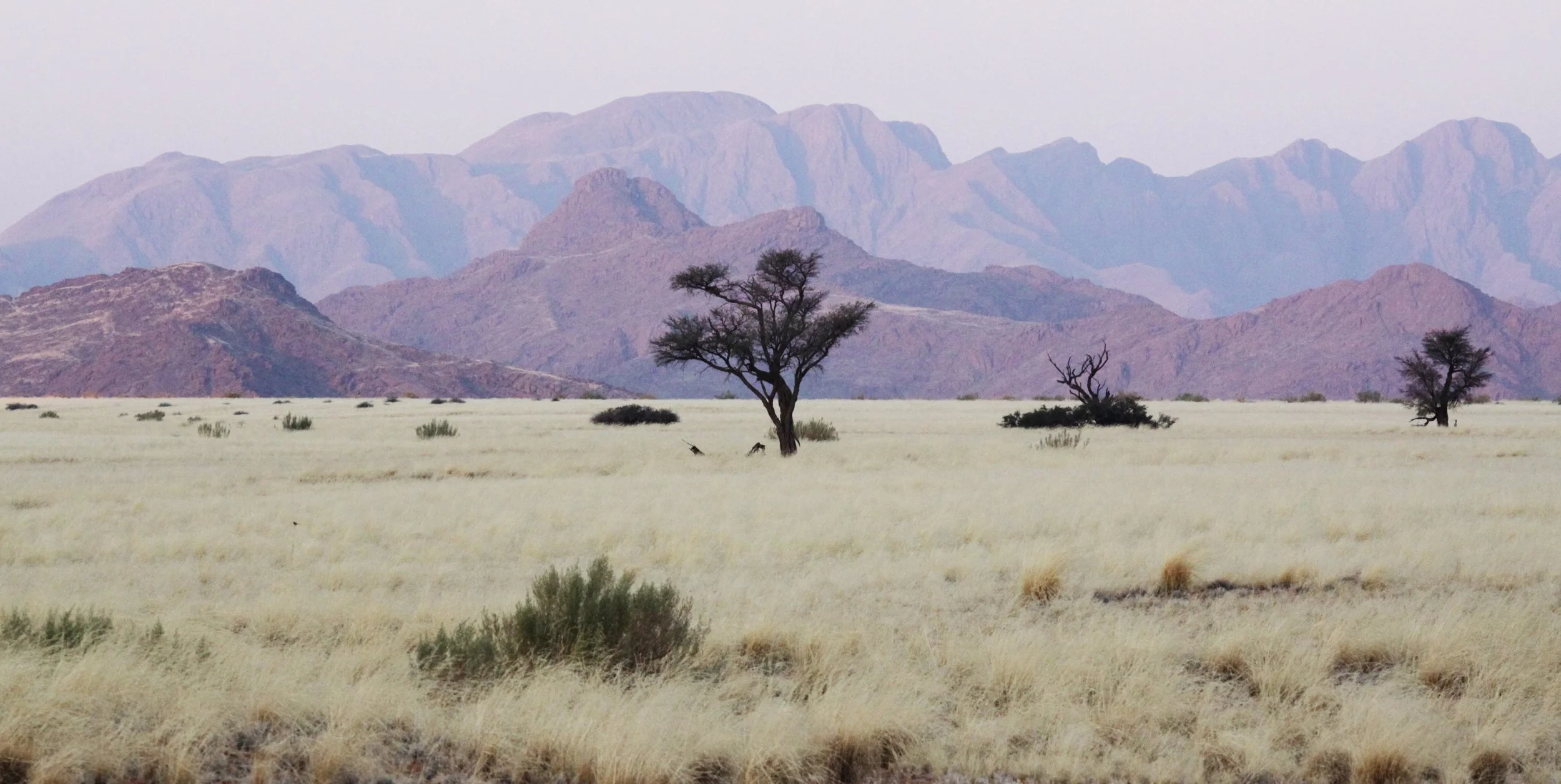 SOSSUSVLEI, NAMIB NAUKLUFT NATIONAL PARK, NAMIBIA (42).JPG
