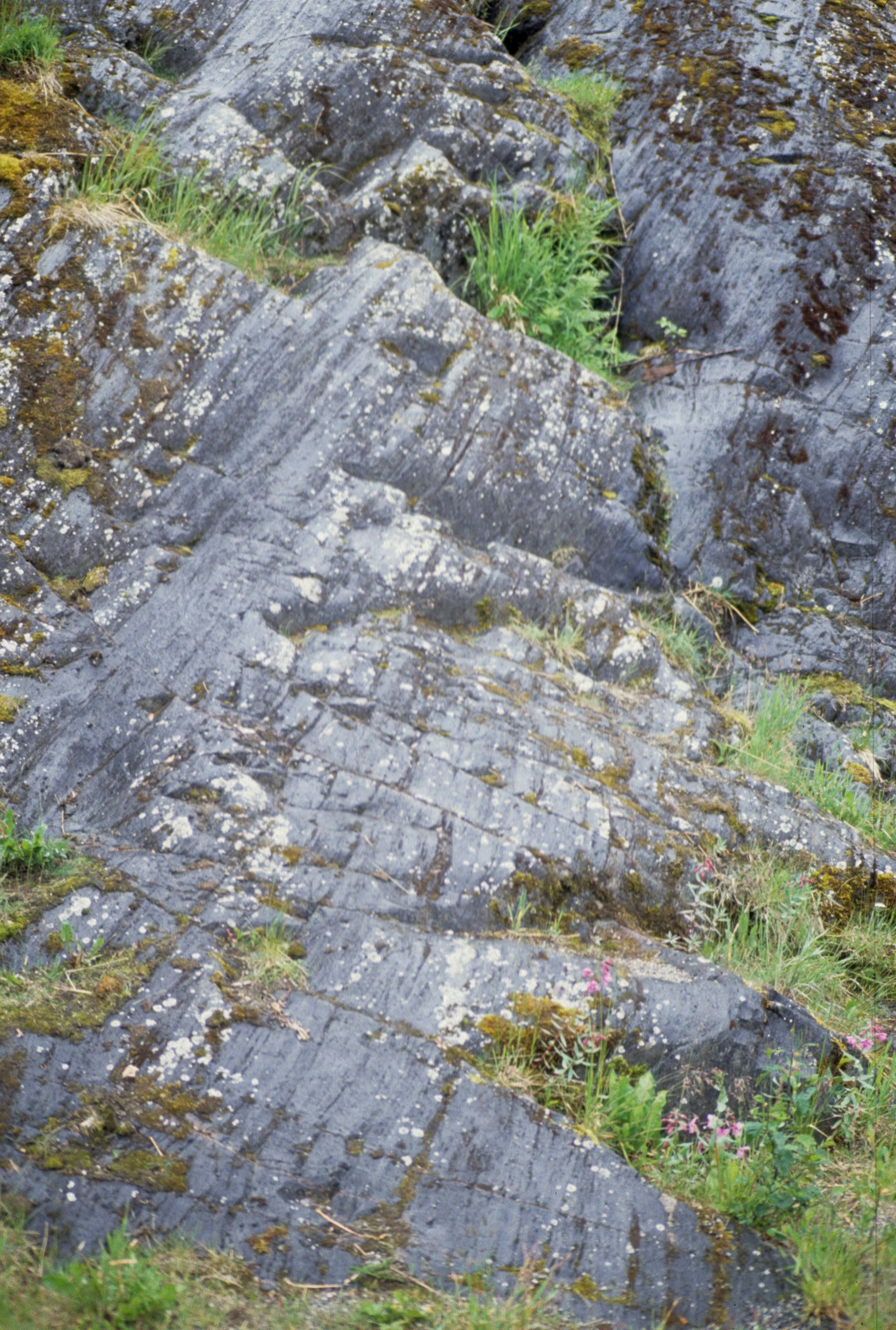 ALASKA - JUNEAU - MENDELSON GLACIER  - GLACIAL STRIATIONS.jpg