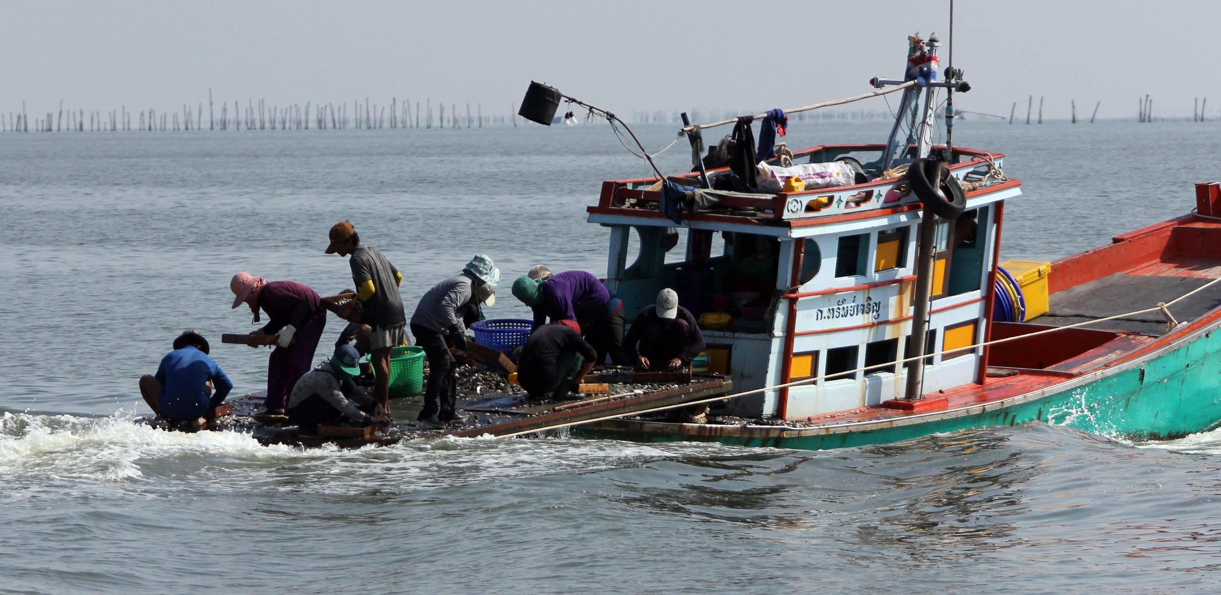 2014 Amphawa Trip to See Whales from Baan Taboon (130).JPG