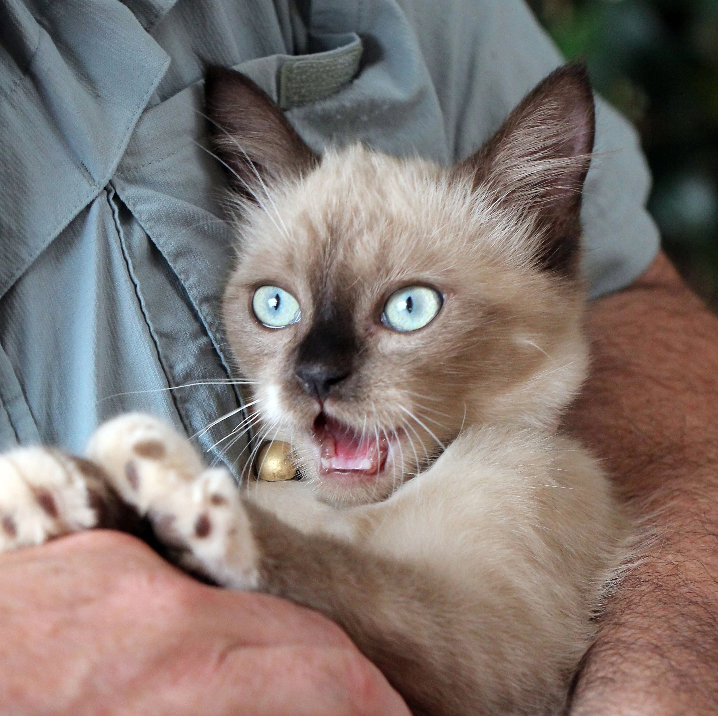 2015 Koh Lanta October Break Trip  (145).JPG