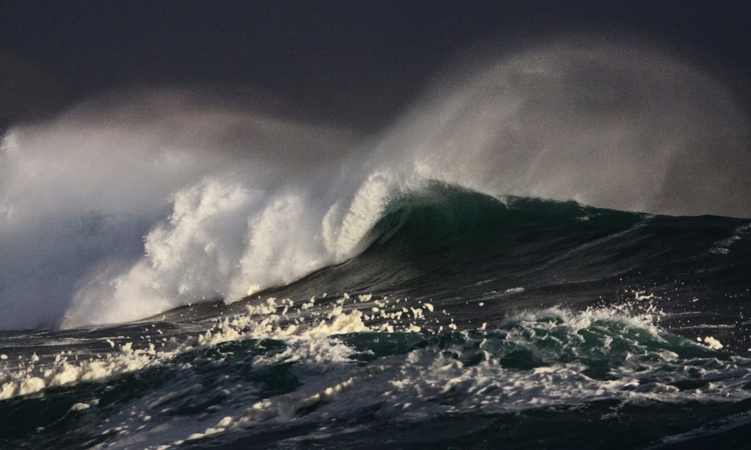 WEST COAST NATIONAL PARK SOUTH AFRICA - SURF'S UP! (4).JPG