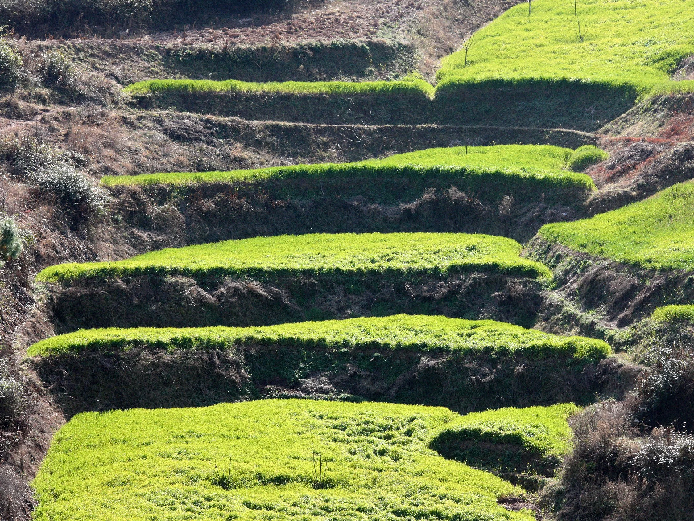 YUNNAN - NANJIAN TOWN AND SURROUNDING REGION (8).JPG