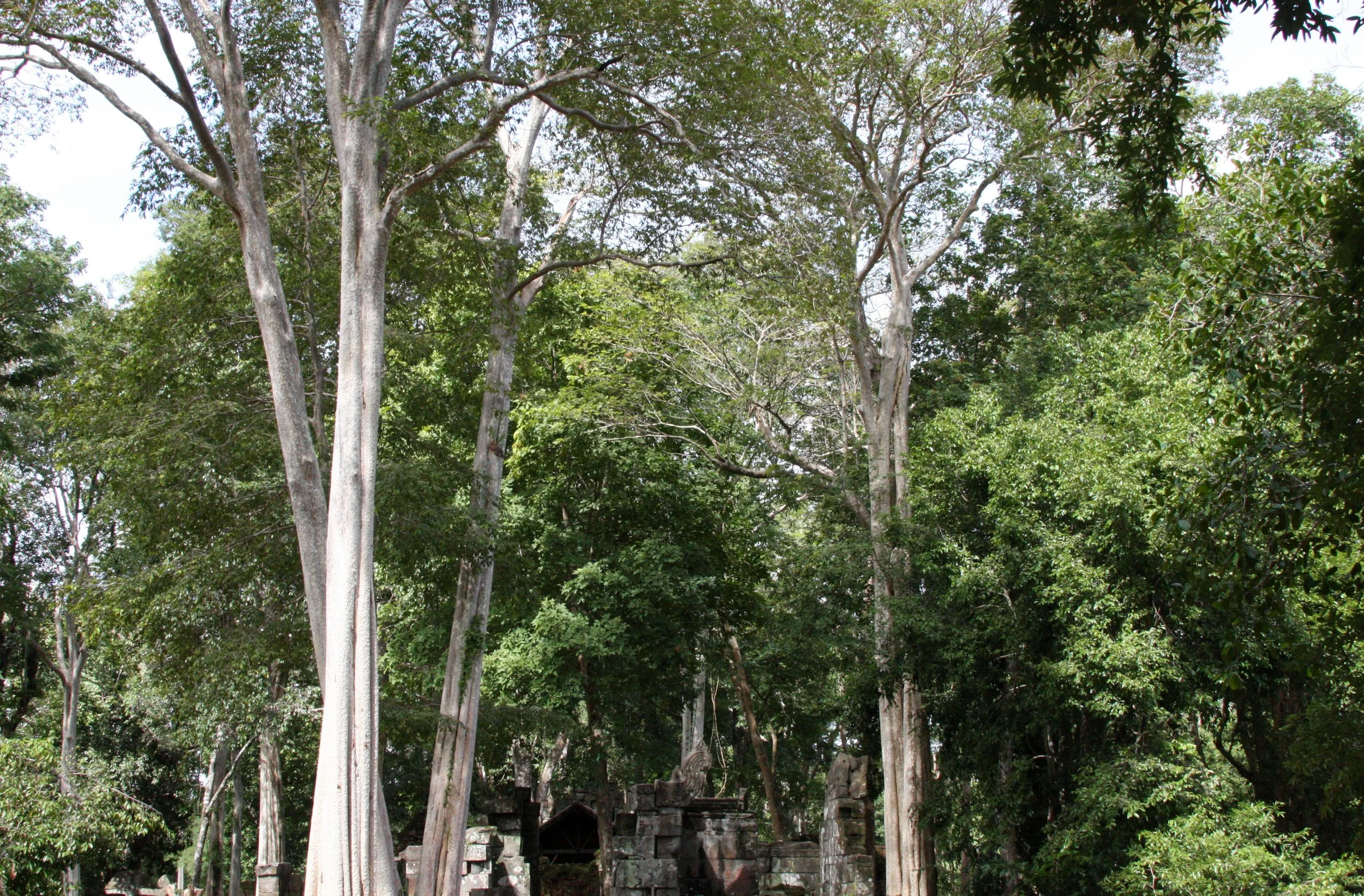 KOH KER TEMPLE CAMBODIA (16).JPG