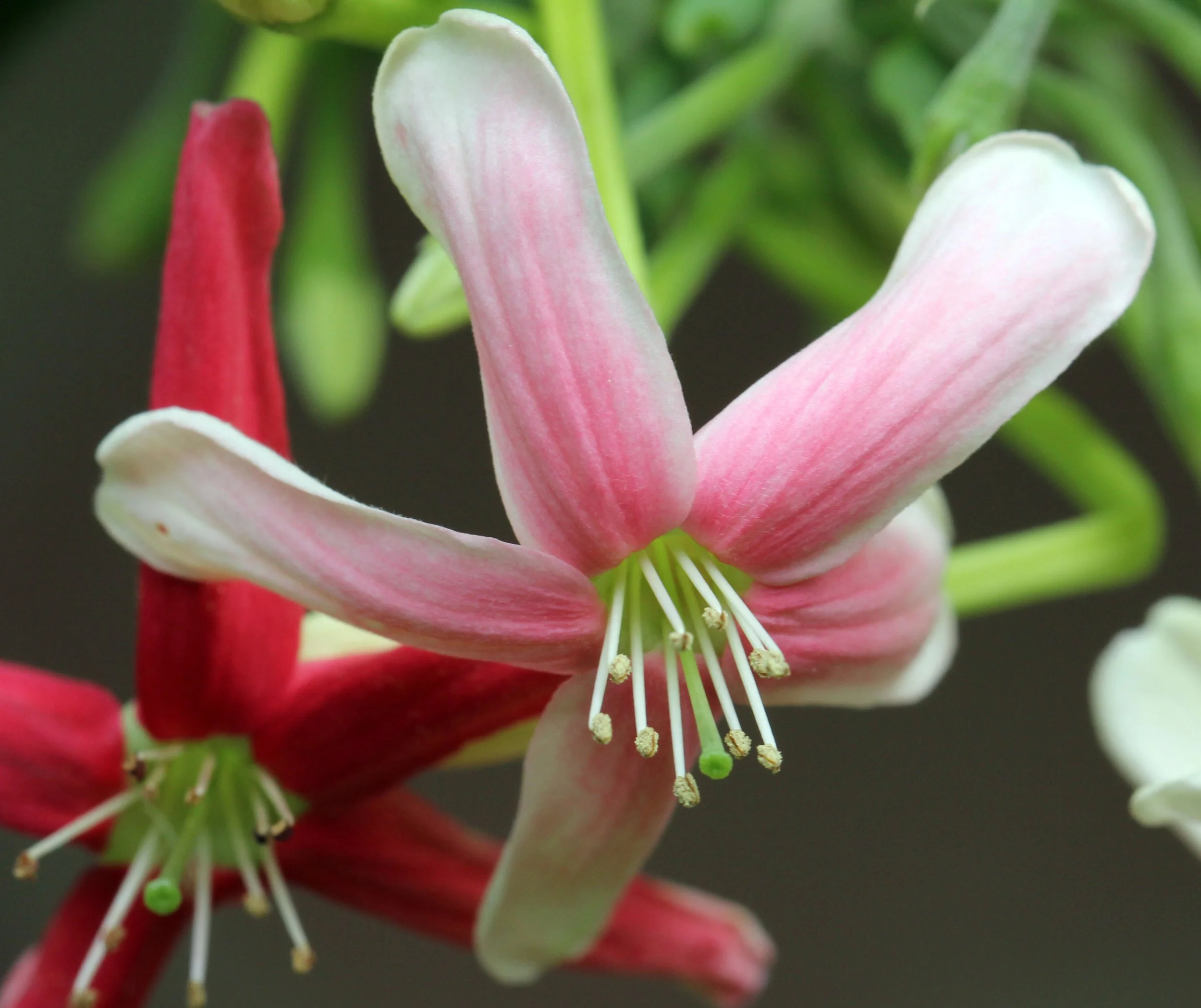 2013 Cha'am and Petchaburi with Family & Friends (6).JPG