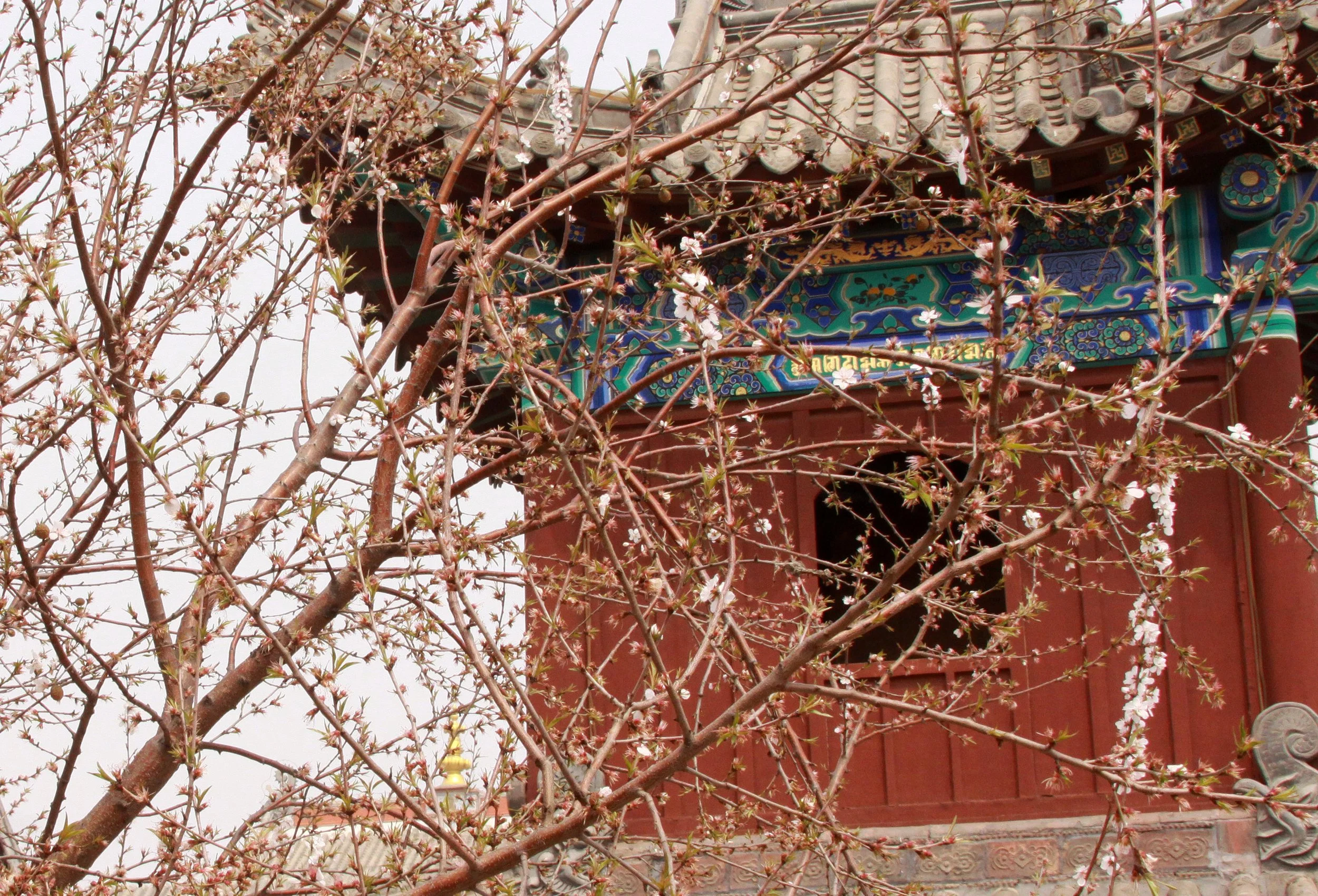 KULUN QI INNER MONGOLIA CHINA - HUREE BANNER TEMPLE (112).JPG