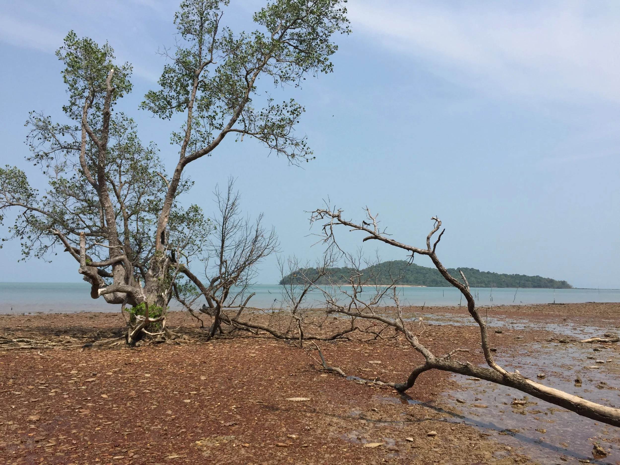 2015 Lanta Project and Scenes (57).JPG