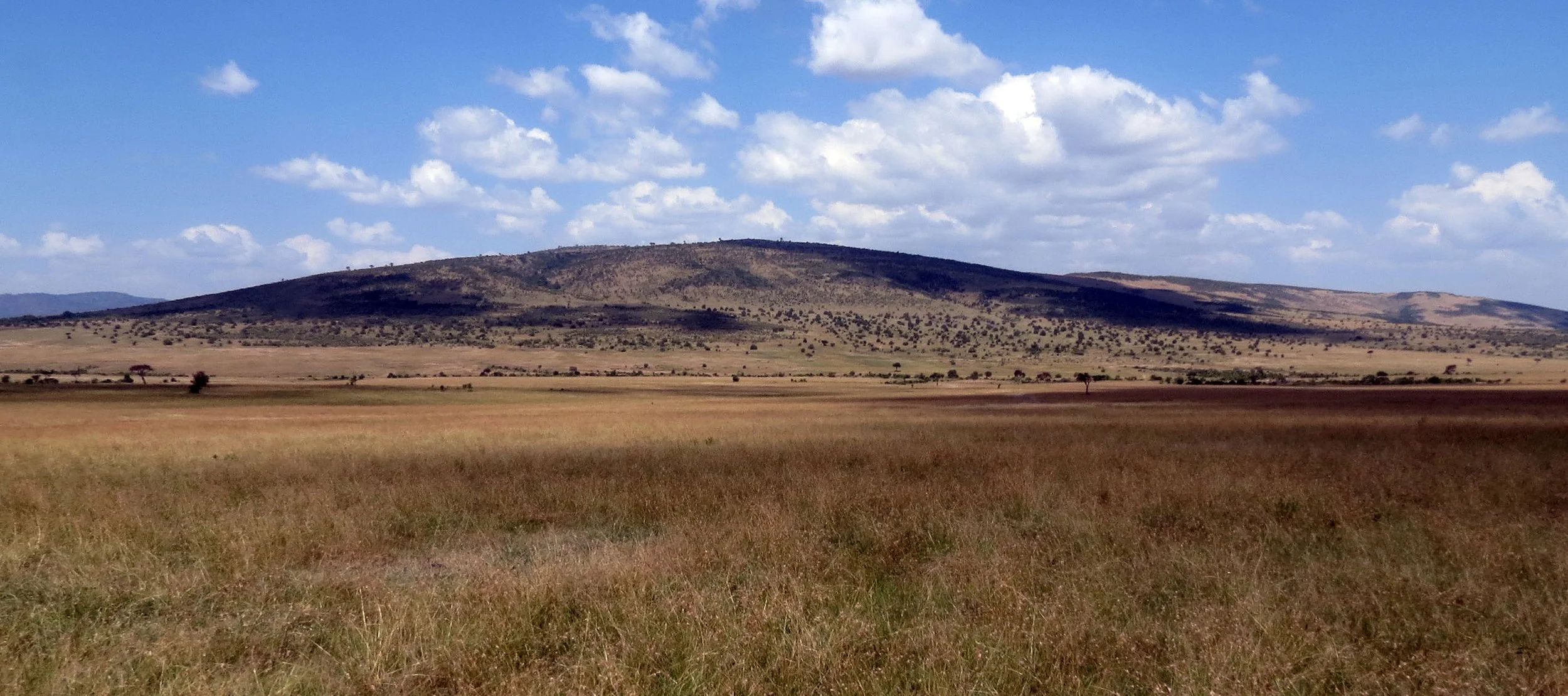 MASAI MARA NATIONAL PARK UGANDA (7).JPG