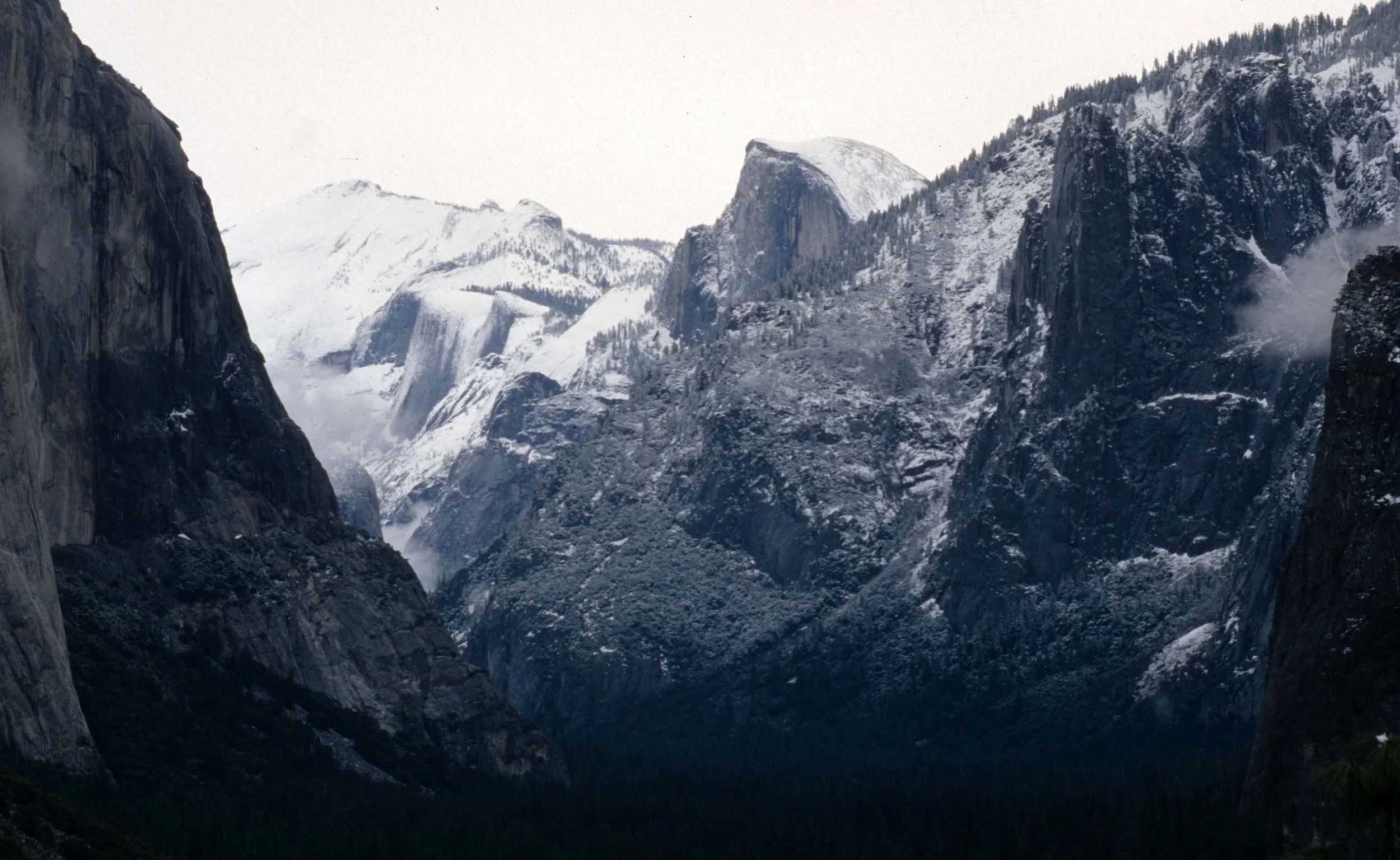 CALIFORNIA - YOSEMITE NP  (26).jpg