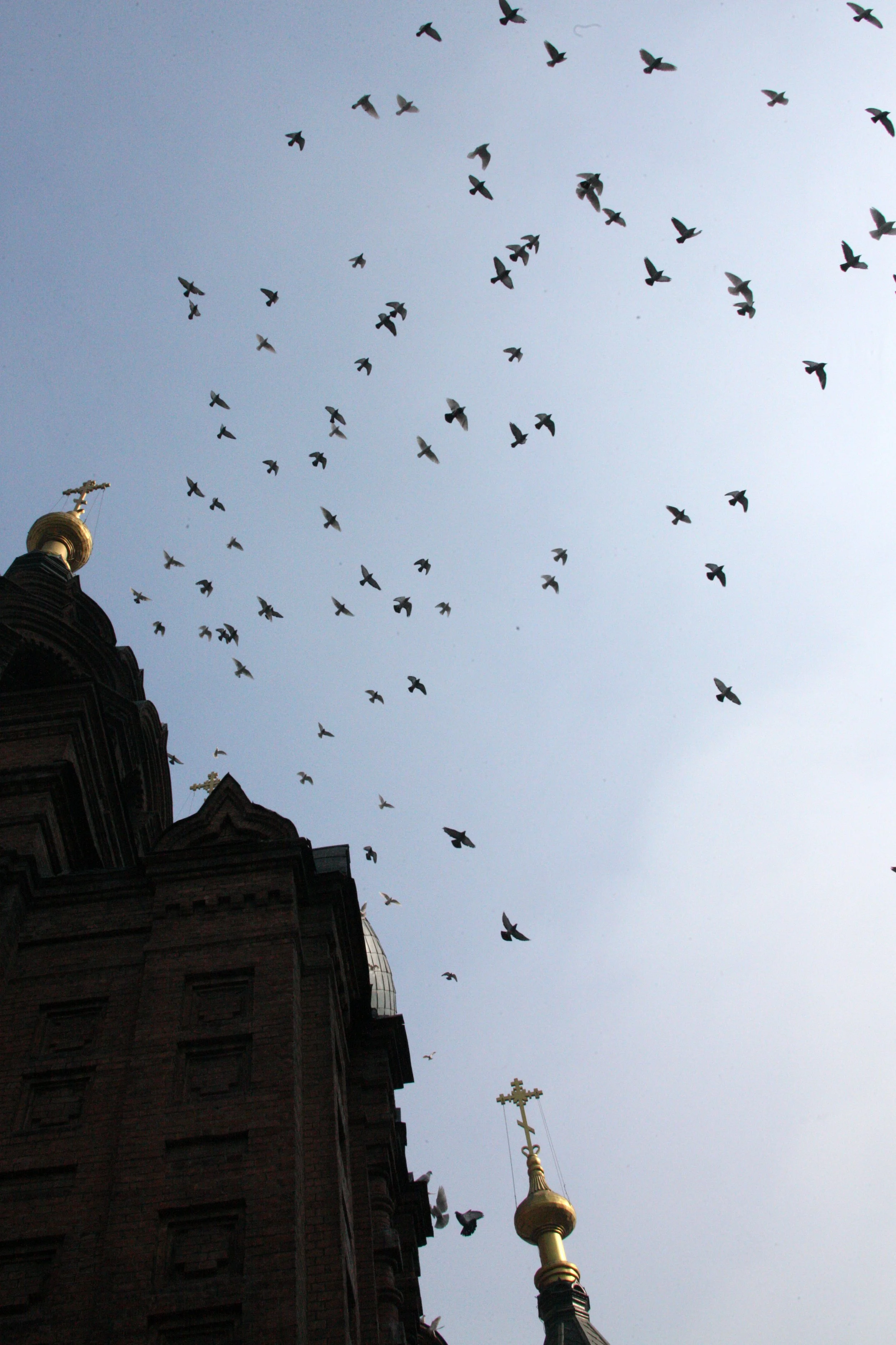 SAINT SOPHIA'S CATHEDRAL HARBIN CHINA (77).JPG