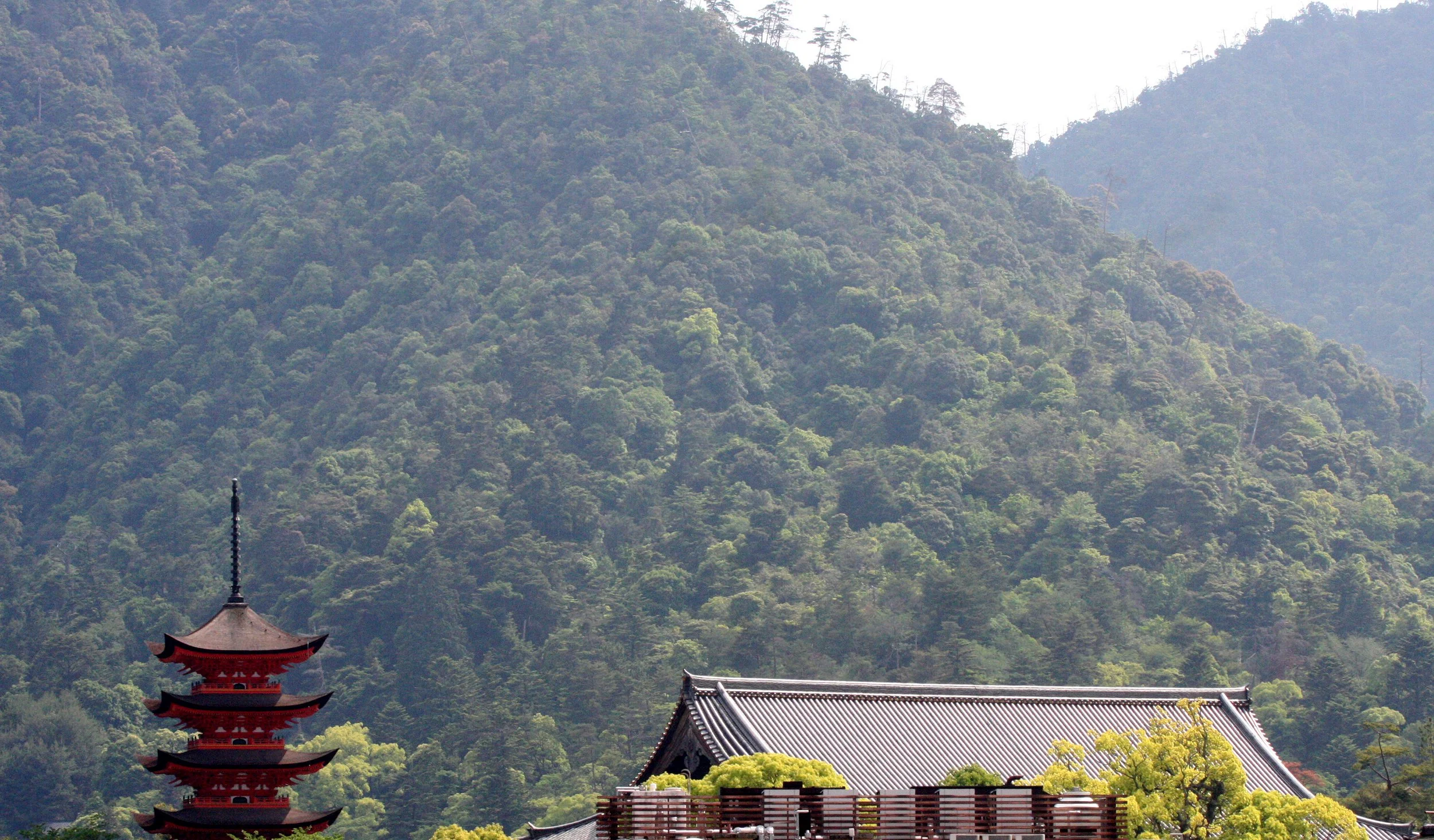 MIYAJIMA - MAY 2009 - SCENES AND LANDSCAPES (7).JPG