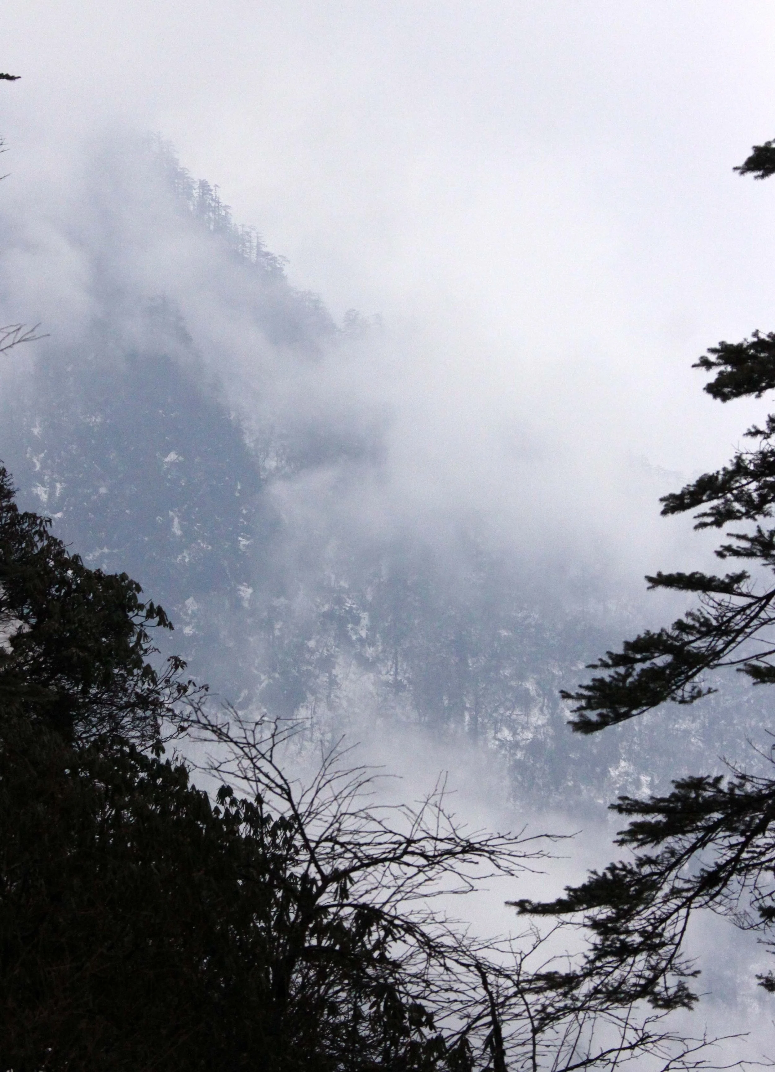 WAWU SHAN GEOPARK - SICHUAN CHINA (34).JPG