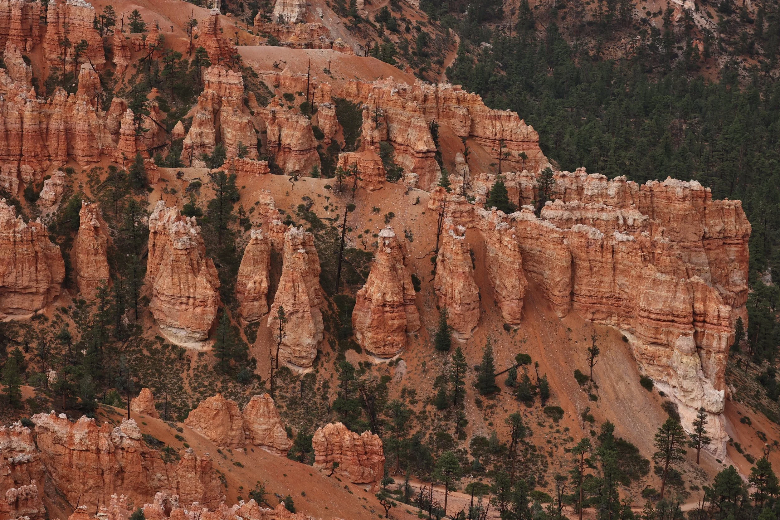 BRYCE CANYON UTAH 2022 (37).JPG