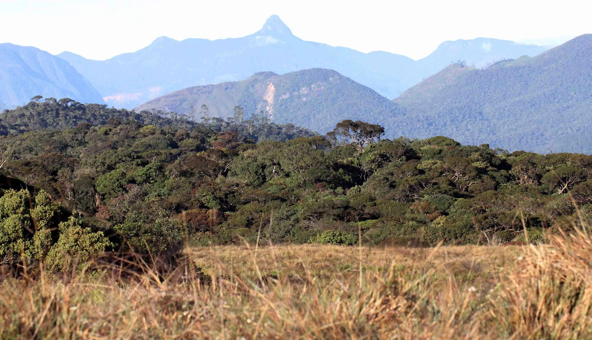 Horton Plains NP