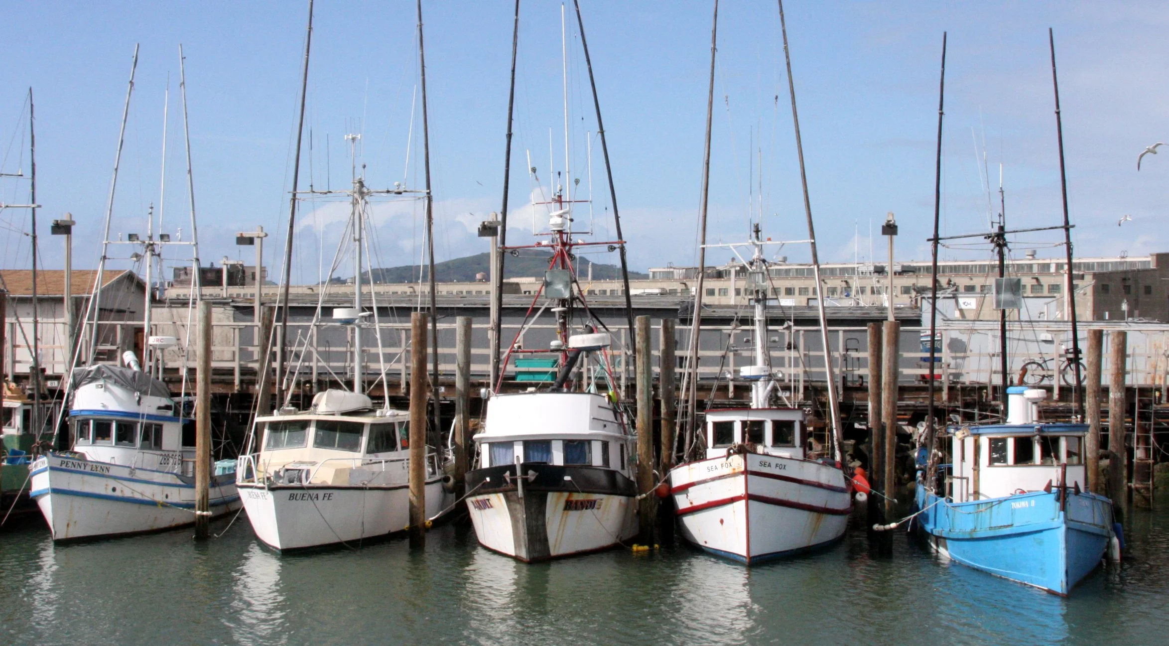 2010-3-31 SAN FRANCISCO - ROADTRIP 2010 (41).JPG