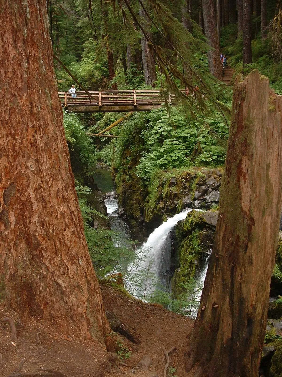 Sol Duc ONP