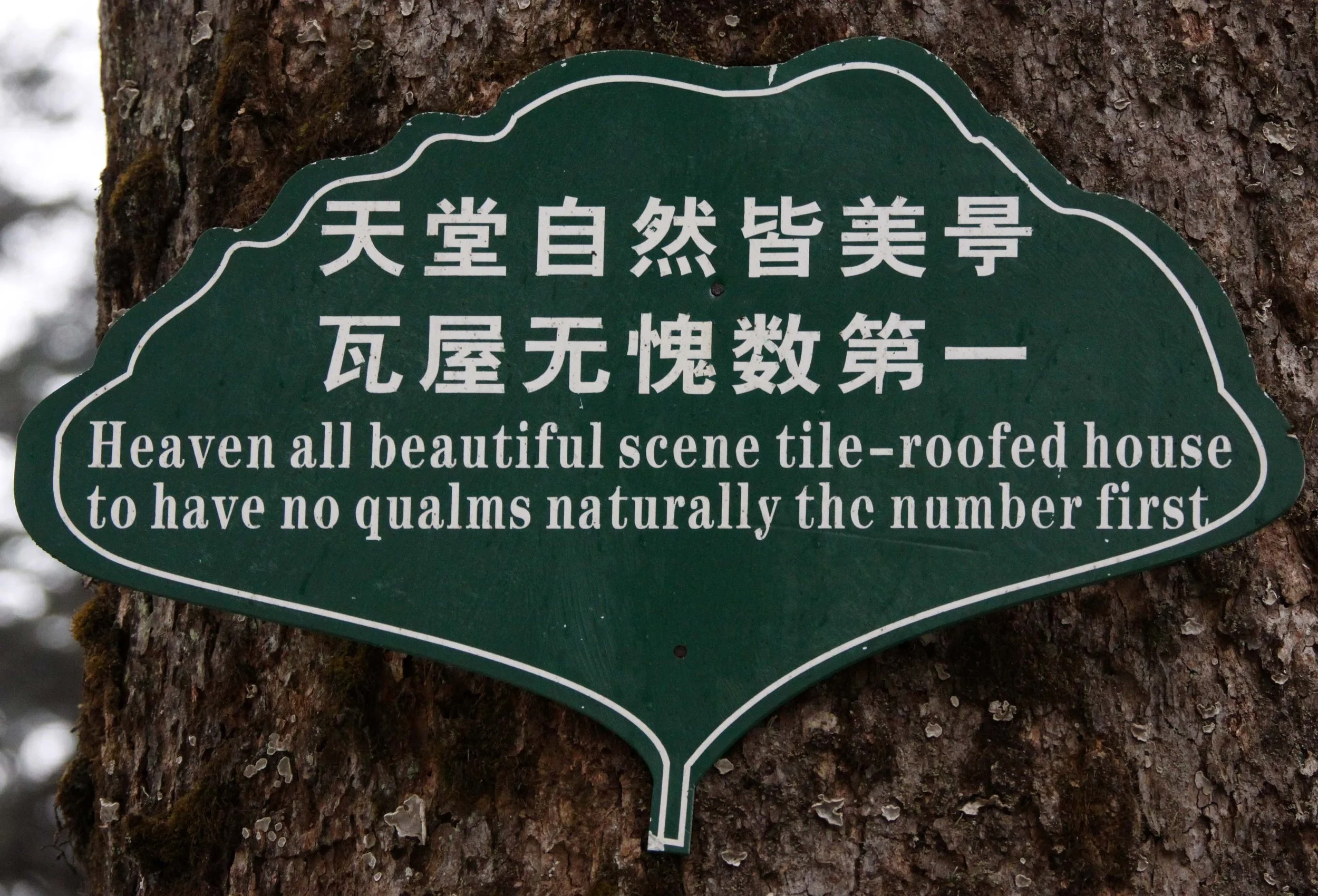 WAWU SHAN GEOPARK - SICHUAN CHINA (32).JPG