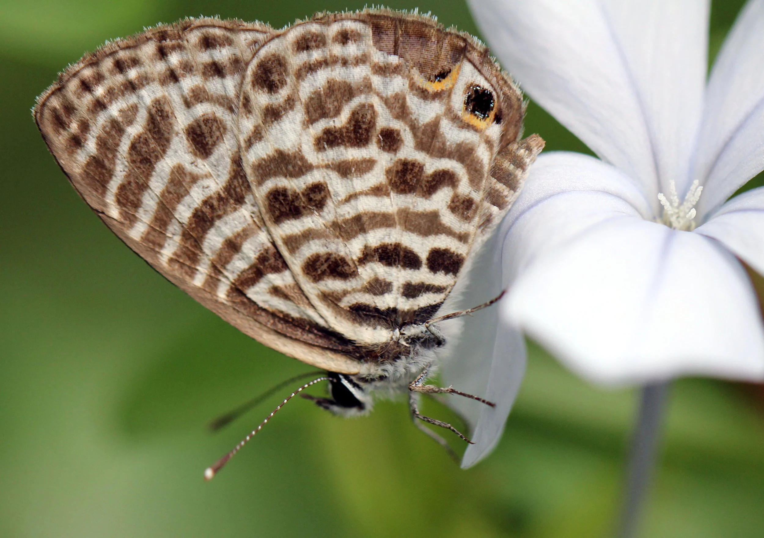 2013 Cha'am and Petchaburi with Family & Friends (10).JPG